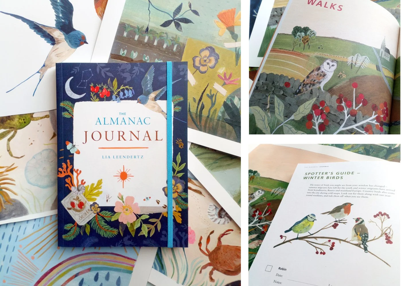 Rachel Grant for Octopus Books