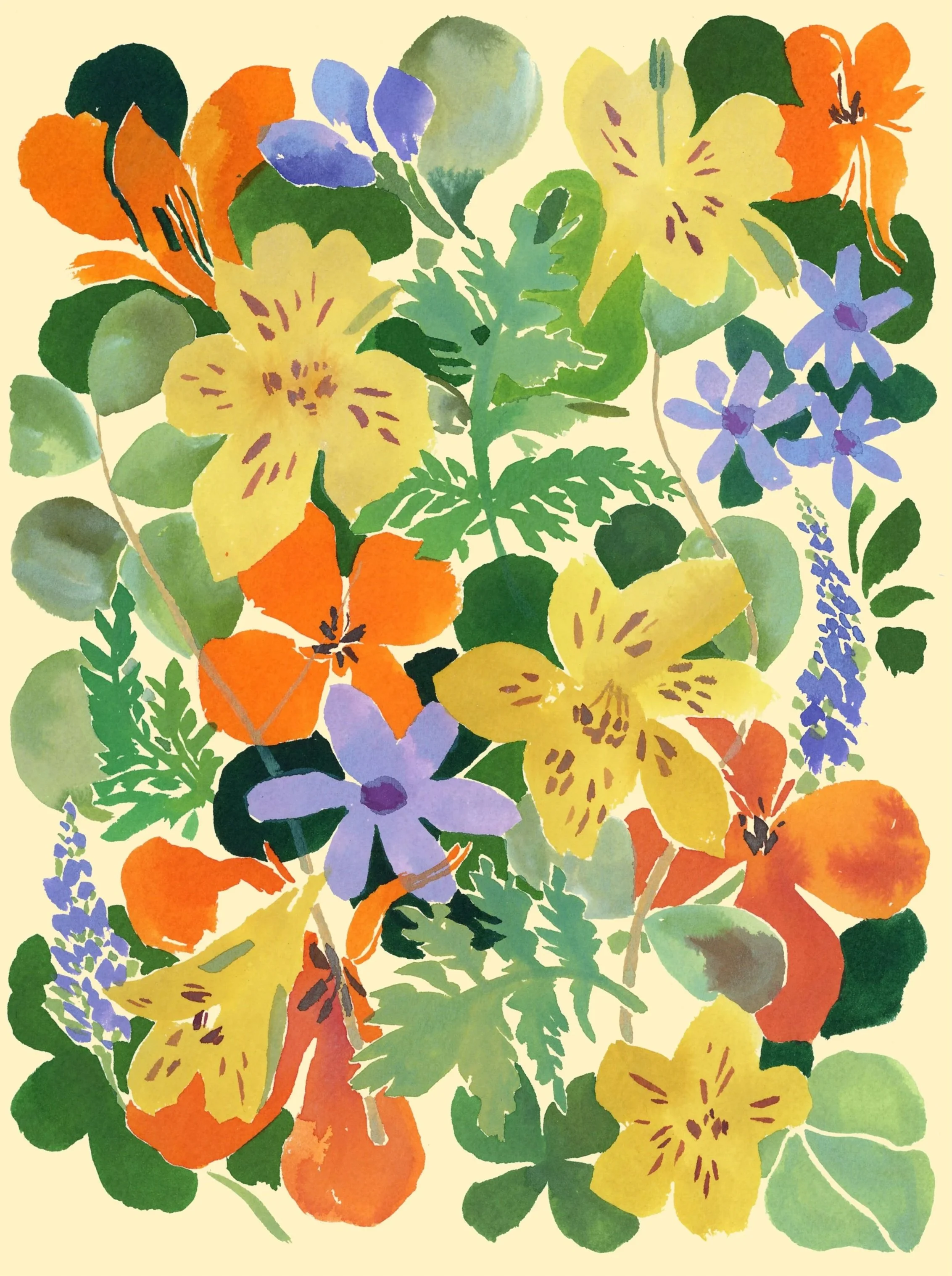 Hadas_pp_COL_modestflowers_1.jpg
