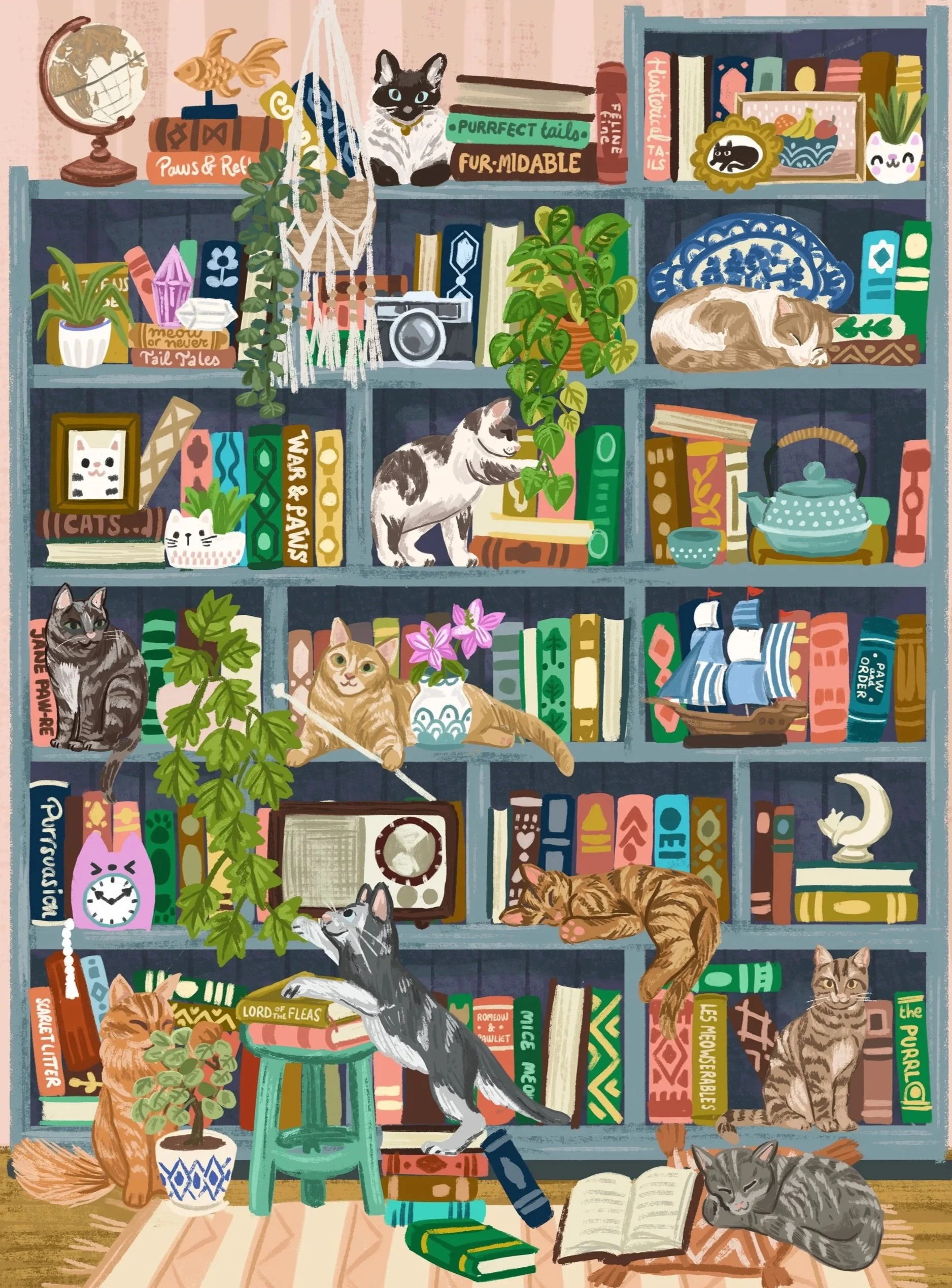 OLIVIA_GIBBS_3625_catshelves.jpg