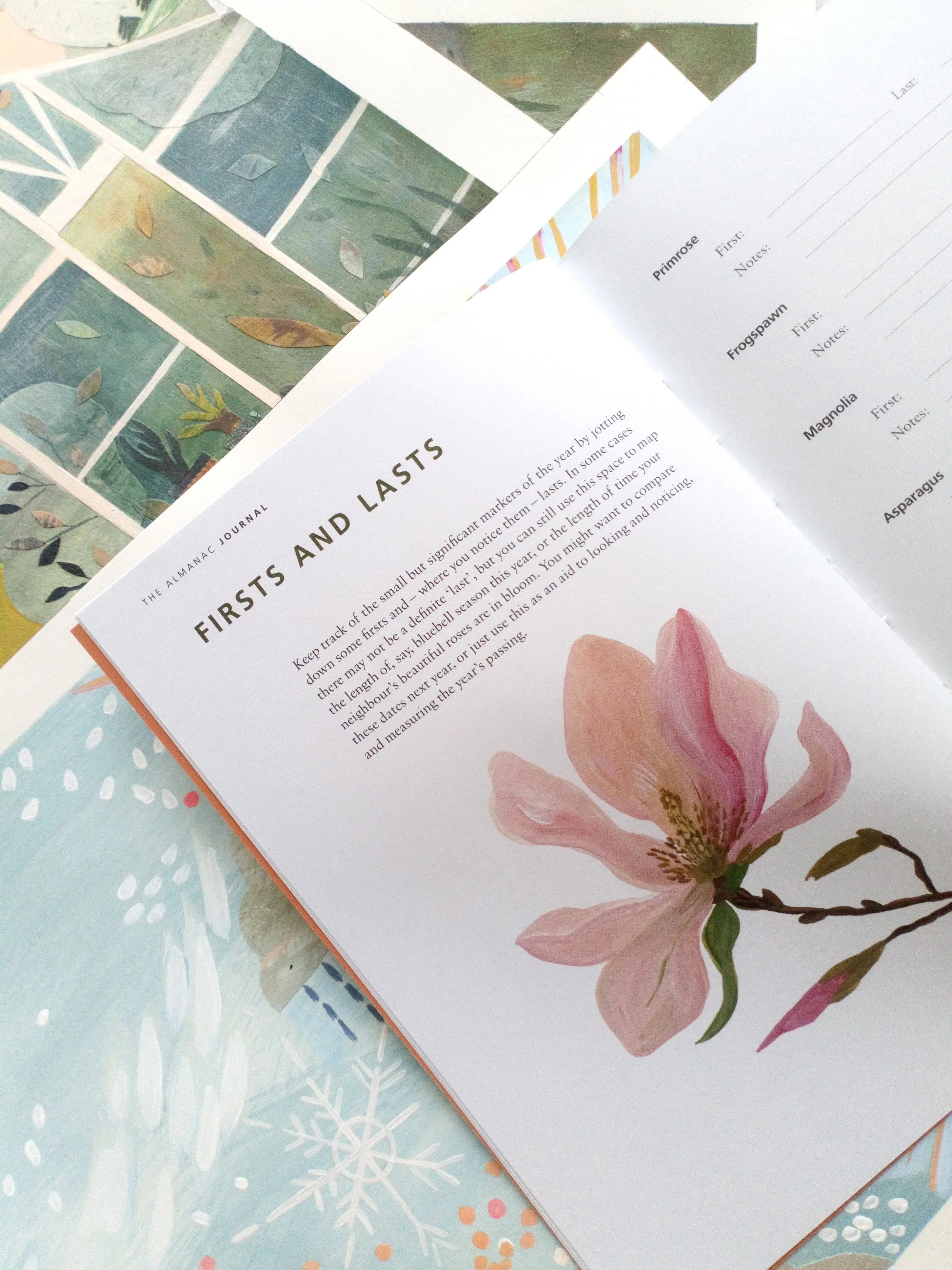 RachelGrant_Almanac Journal_Photo 5.jpg