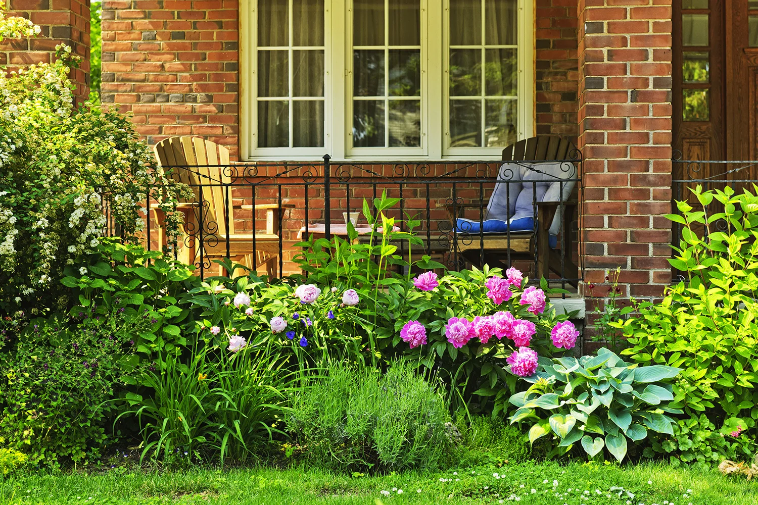 garden.jpg