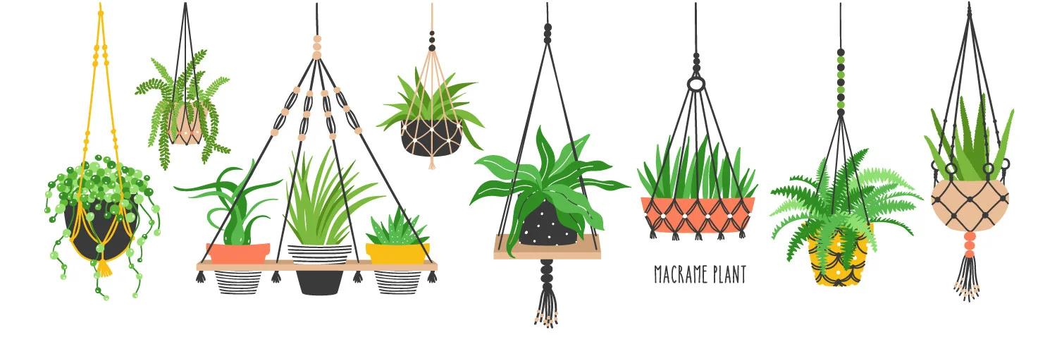 plants.jpg
