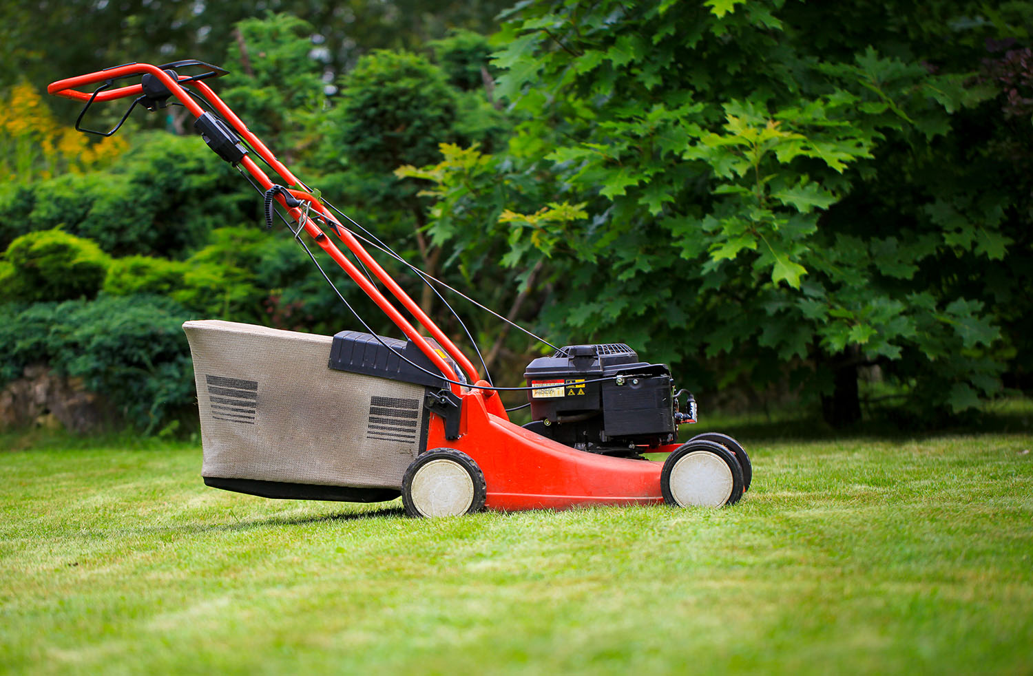 lawnmower.jpg