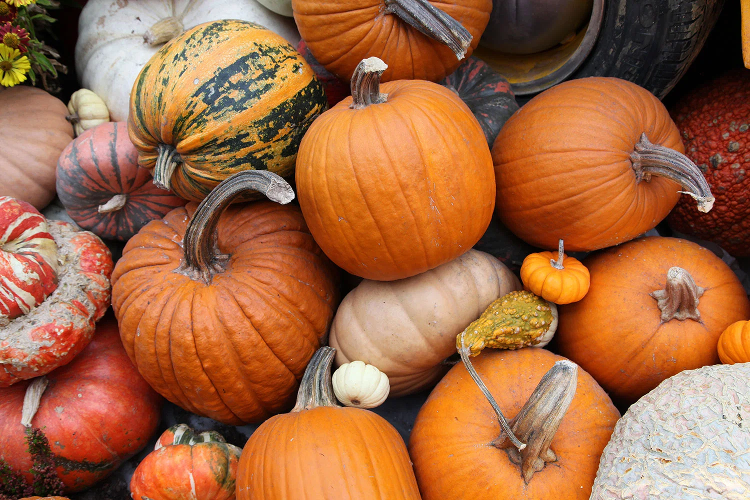 Best Things to Buy in October (with Bonus National Holidays!)