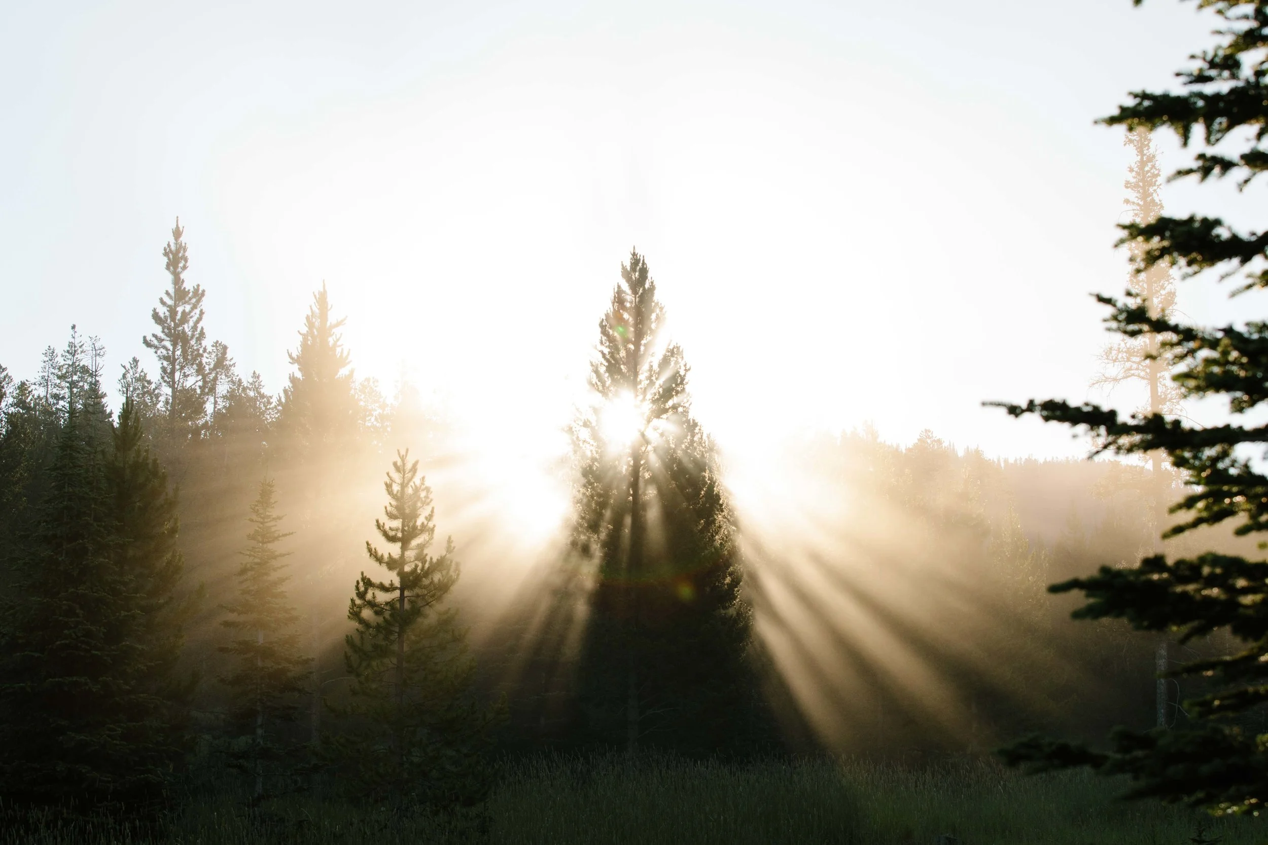 PMC_6880.jpg