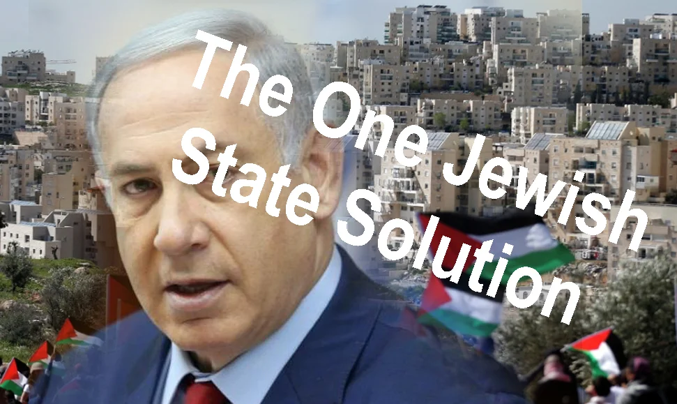 One Jewish State solution.jpg