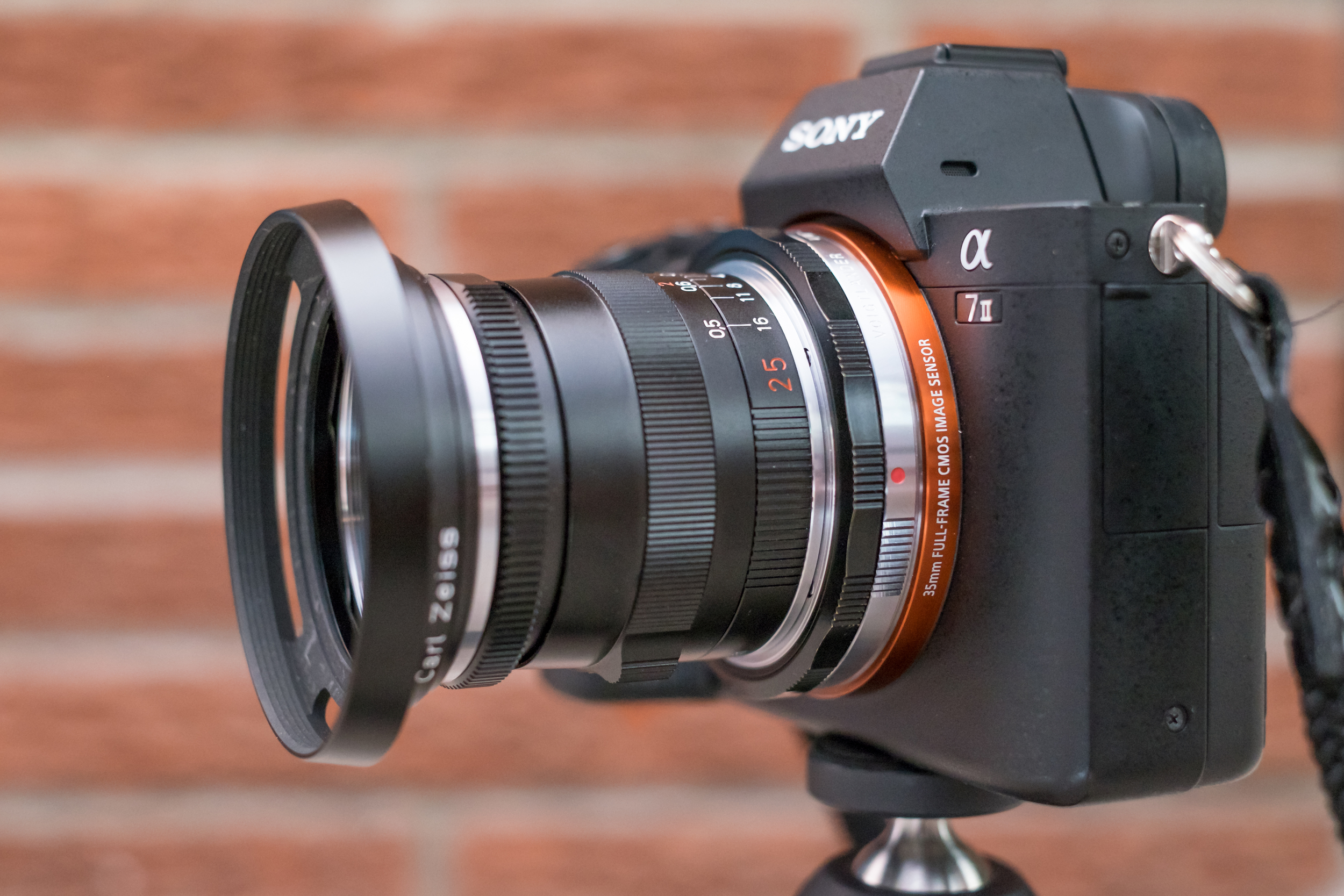 Zeiss 25mm f2.8 Biogon ZM mount lens on Sony A7II — Scott 