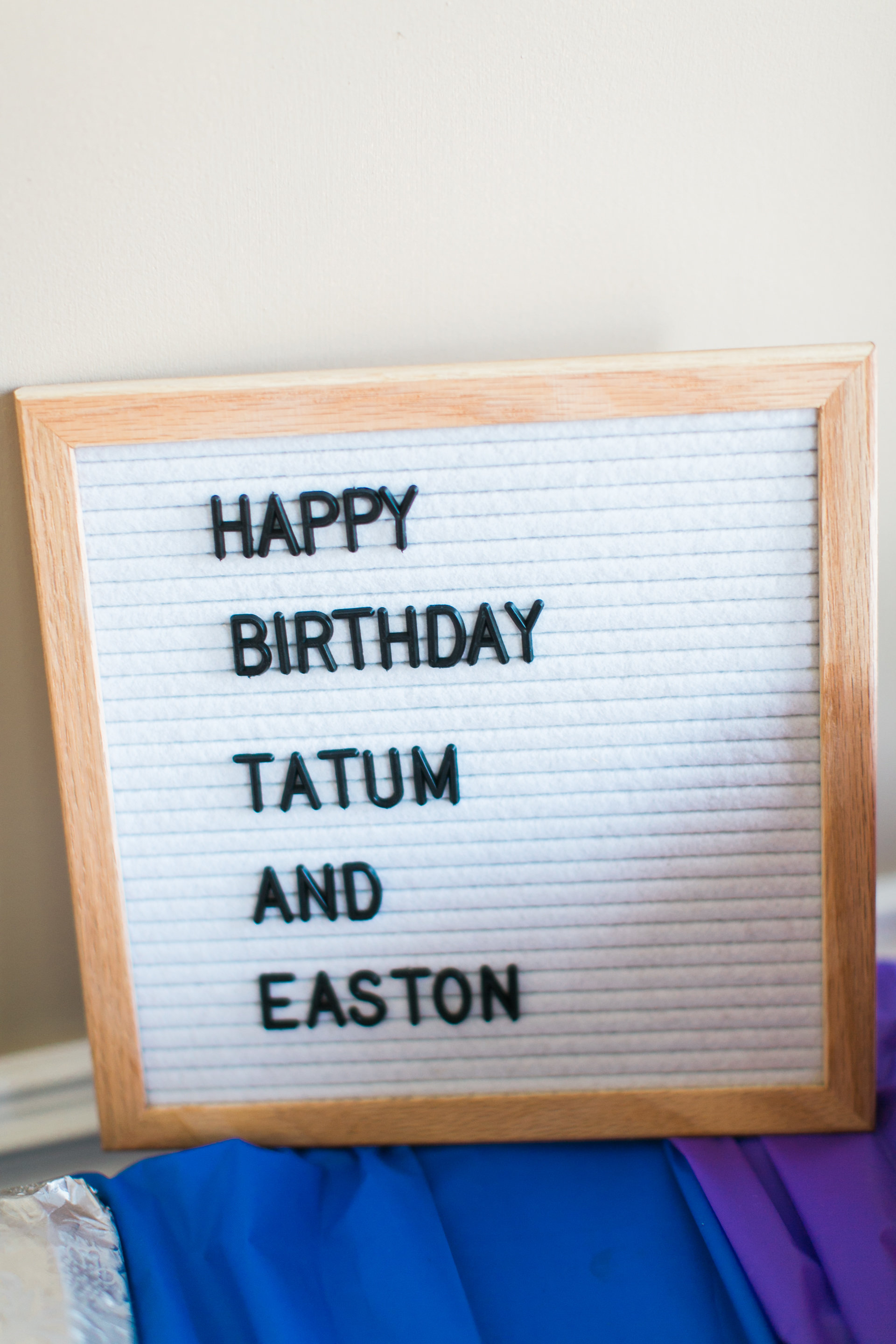 Tatum&Easton-BirthdayParties-9.jpg