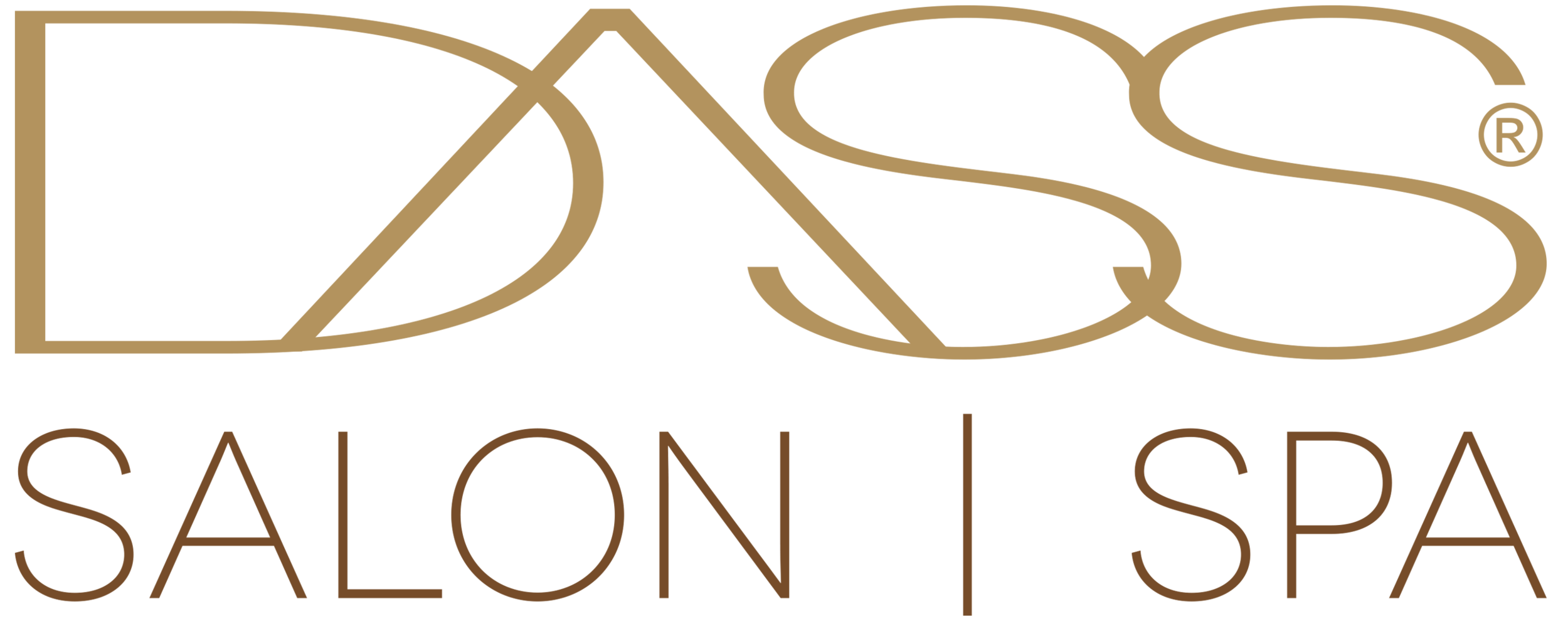 DASS    Salon | Spa