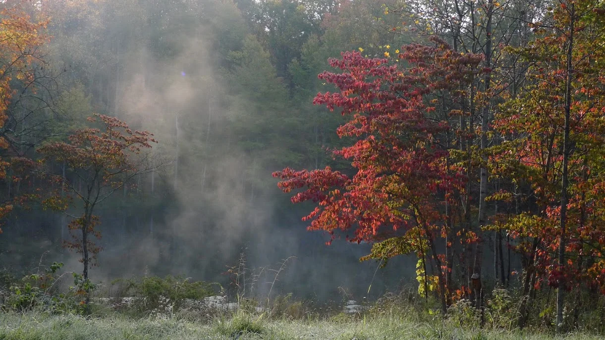 cabin pond fog.jpg