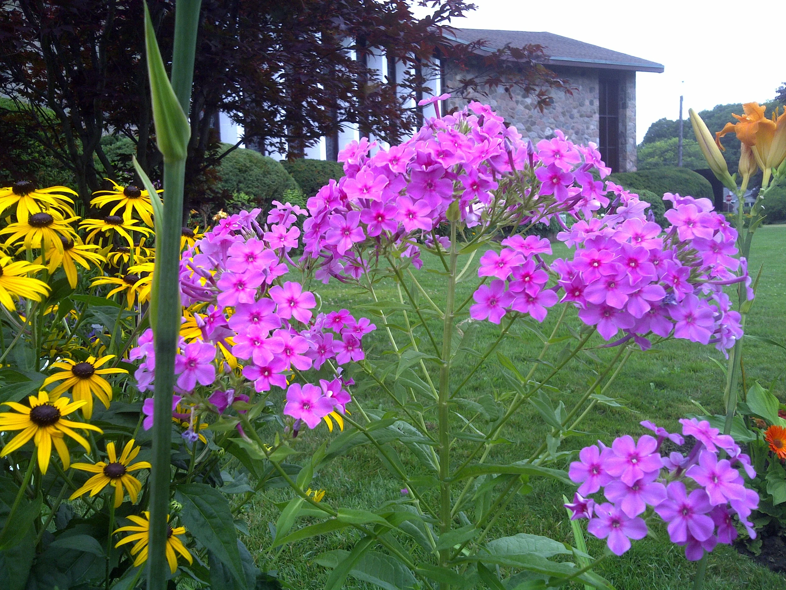 IMG-20110728-00521.jpg