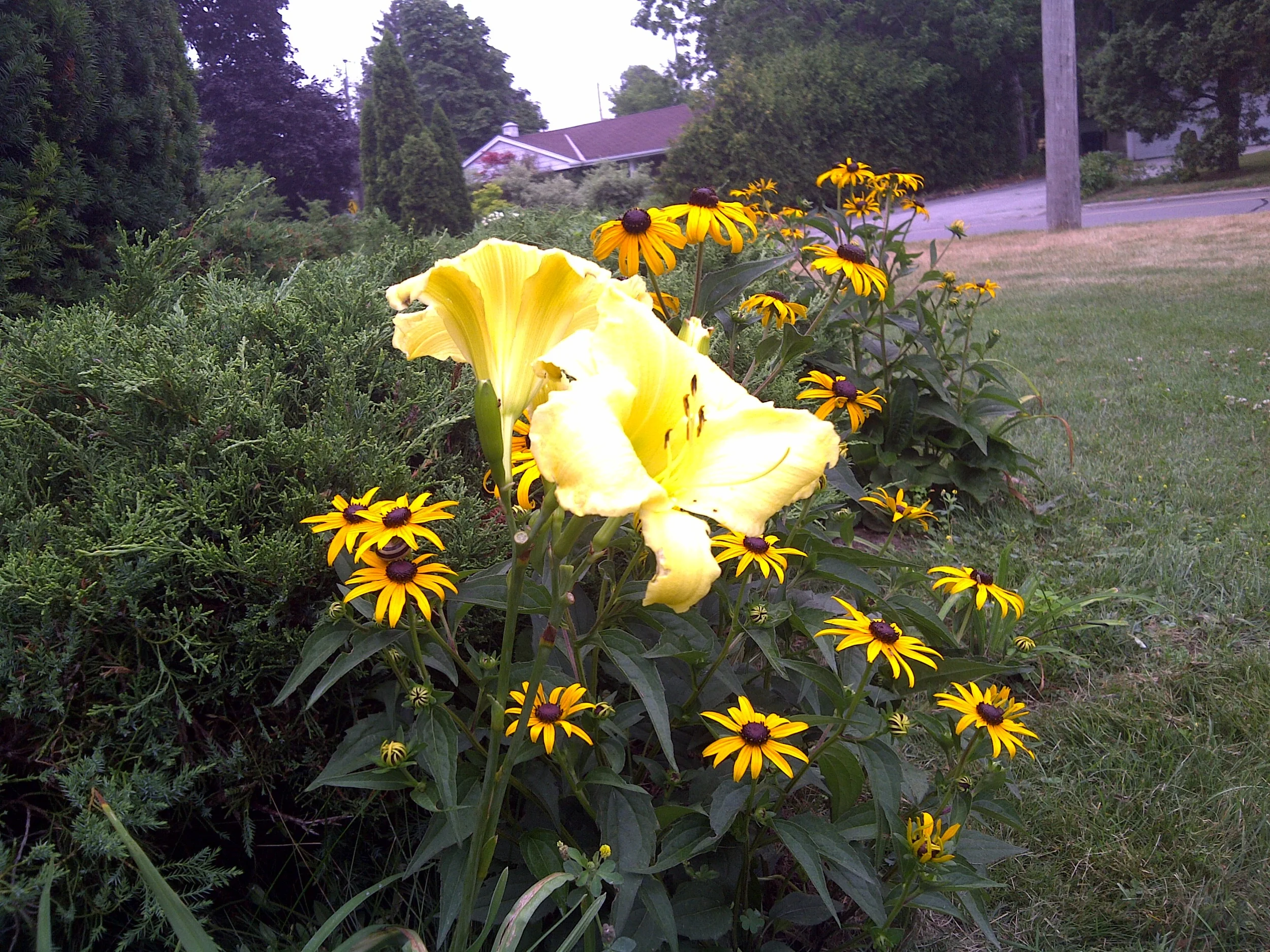 IMG-20110728-00544.jpg