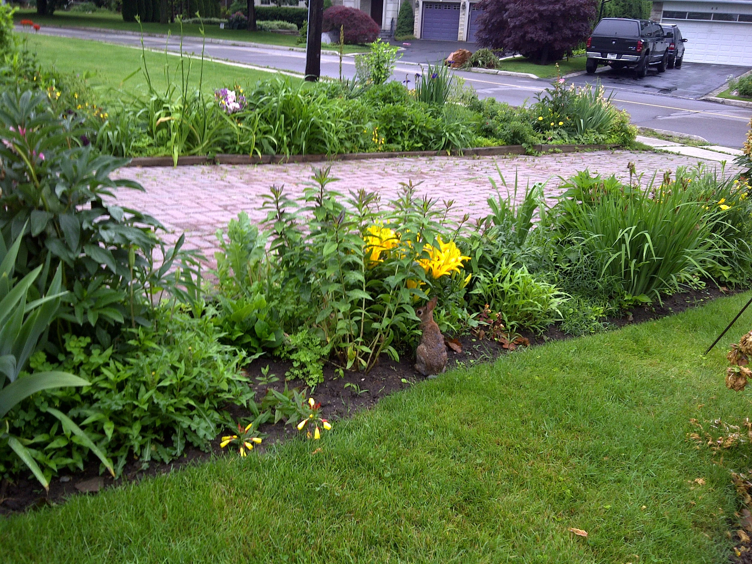 IMG-20120612-01310.jpg