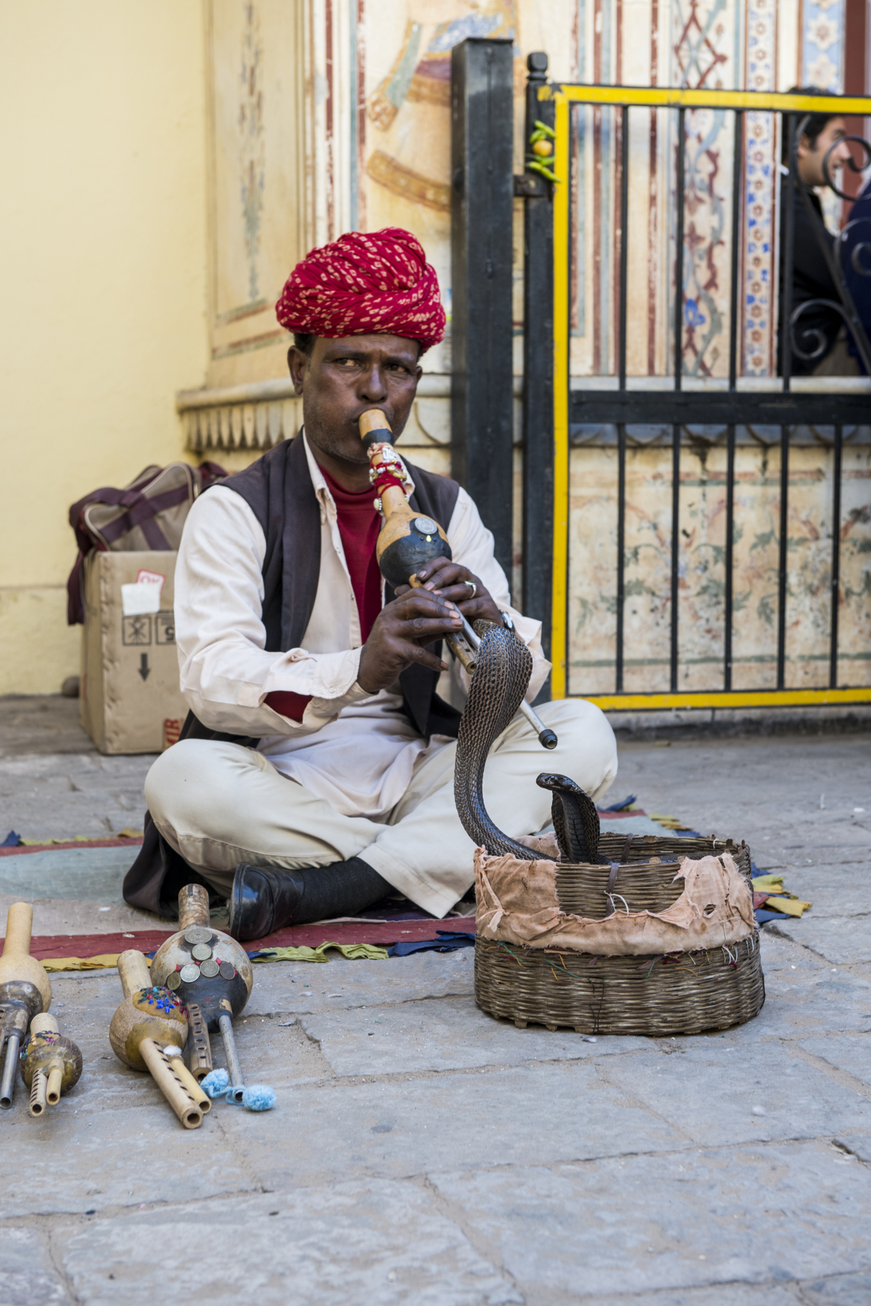 A classic indian sight.