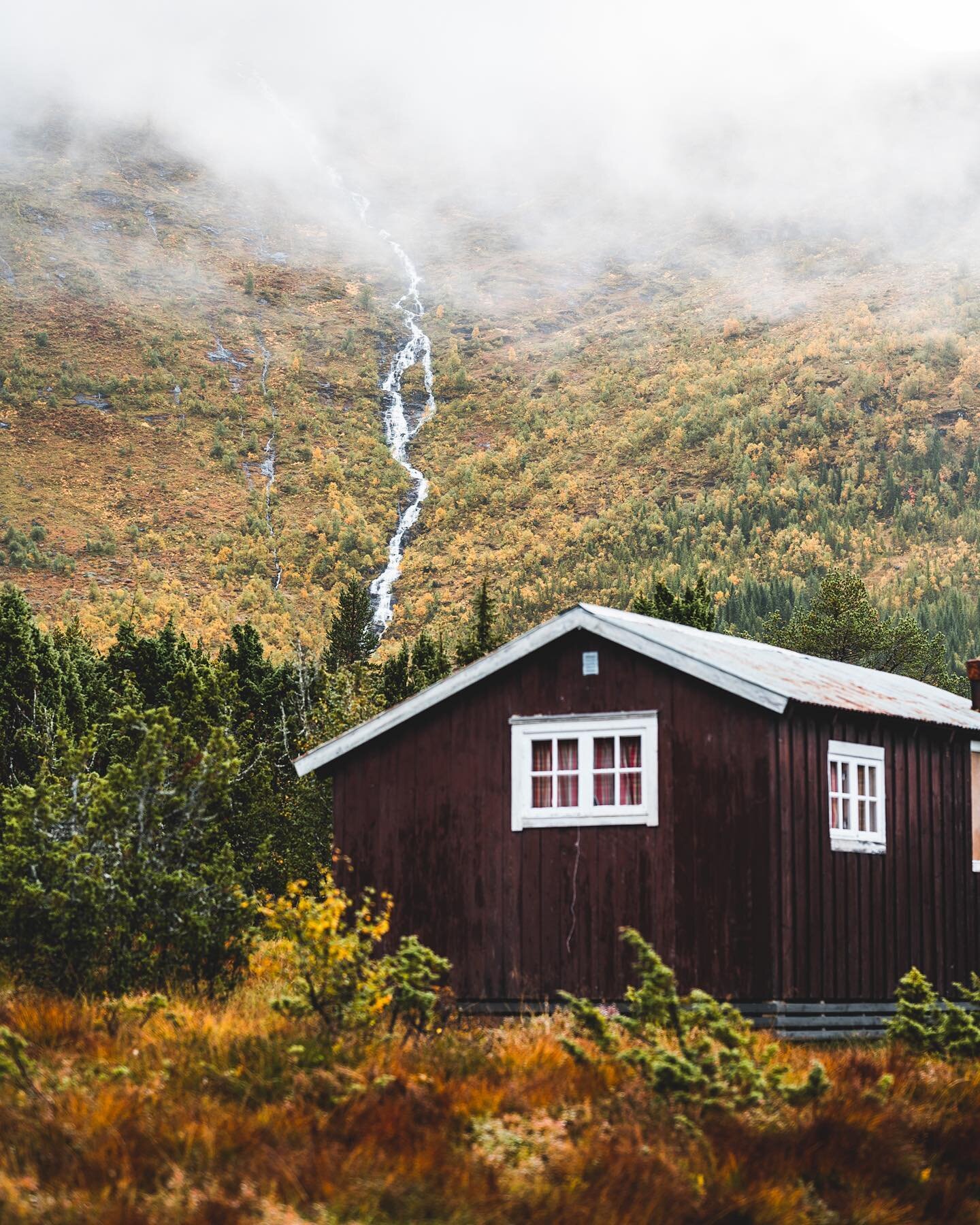 Ein time herifrå ligg &Oslash;rsta rådhus.

#&oslash;rsta #&oslash;rstakommune #mittnorge #norge #norges_fotografer #magasin_no #dnt #utno #fjordnorway #norway #visitnorway #nikonz6 #nikontravel #travelphotography #natgeo #mynikonmoment