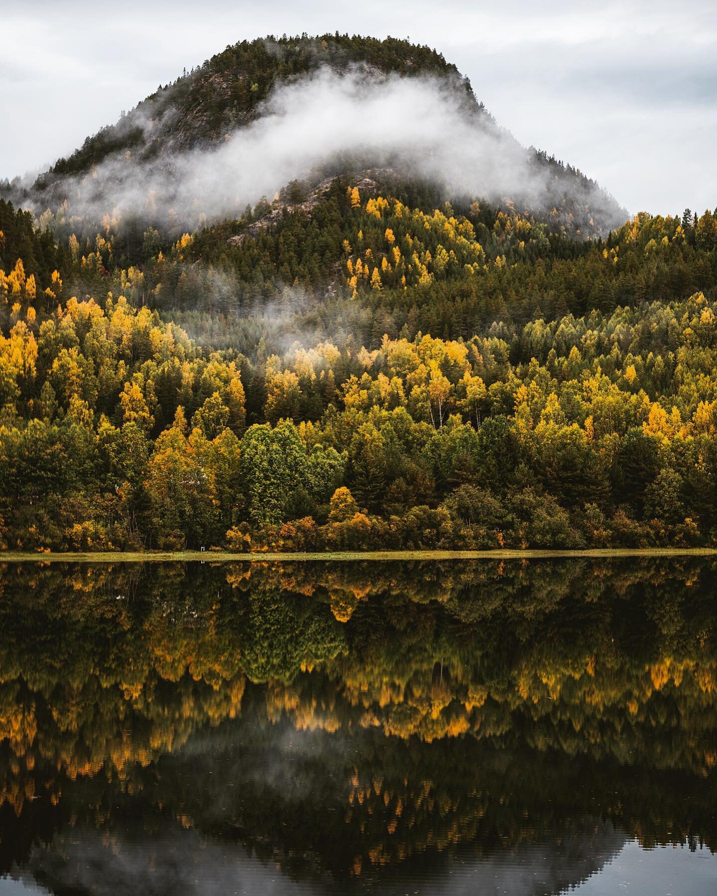 Somewhere in Norway.

#mittnorge #norge #norgesfotografer #visitnorway #h&oslash;st #autumn #norway #fjordnorway #dnt #utno #visitgol #nikonz6 #travelphotograpy #nikontravel #nikonnorway #magasin_no