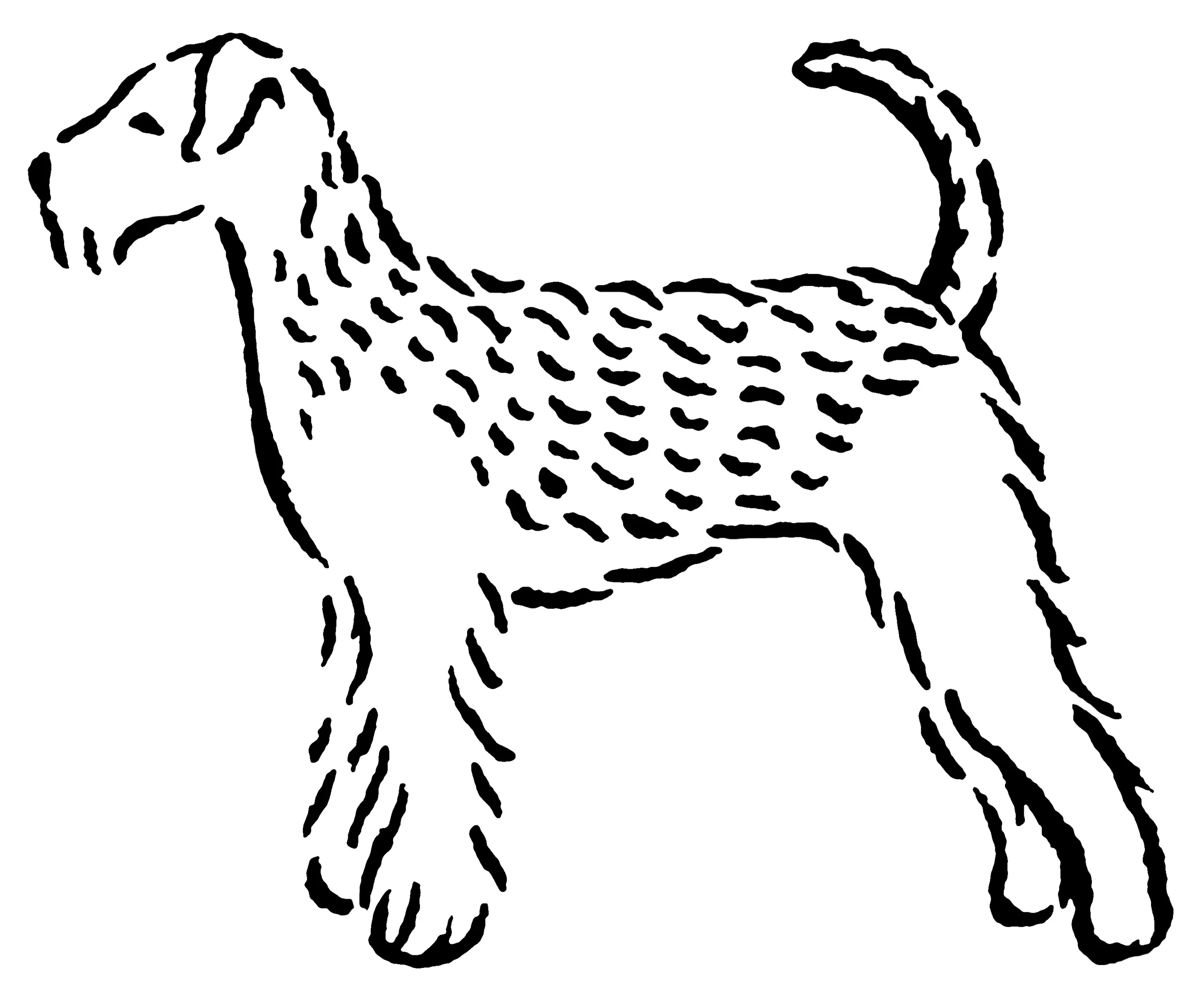 airedale_e.jpg