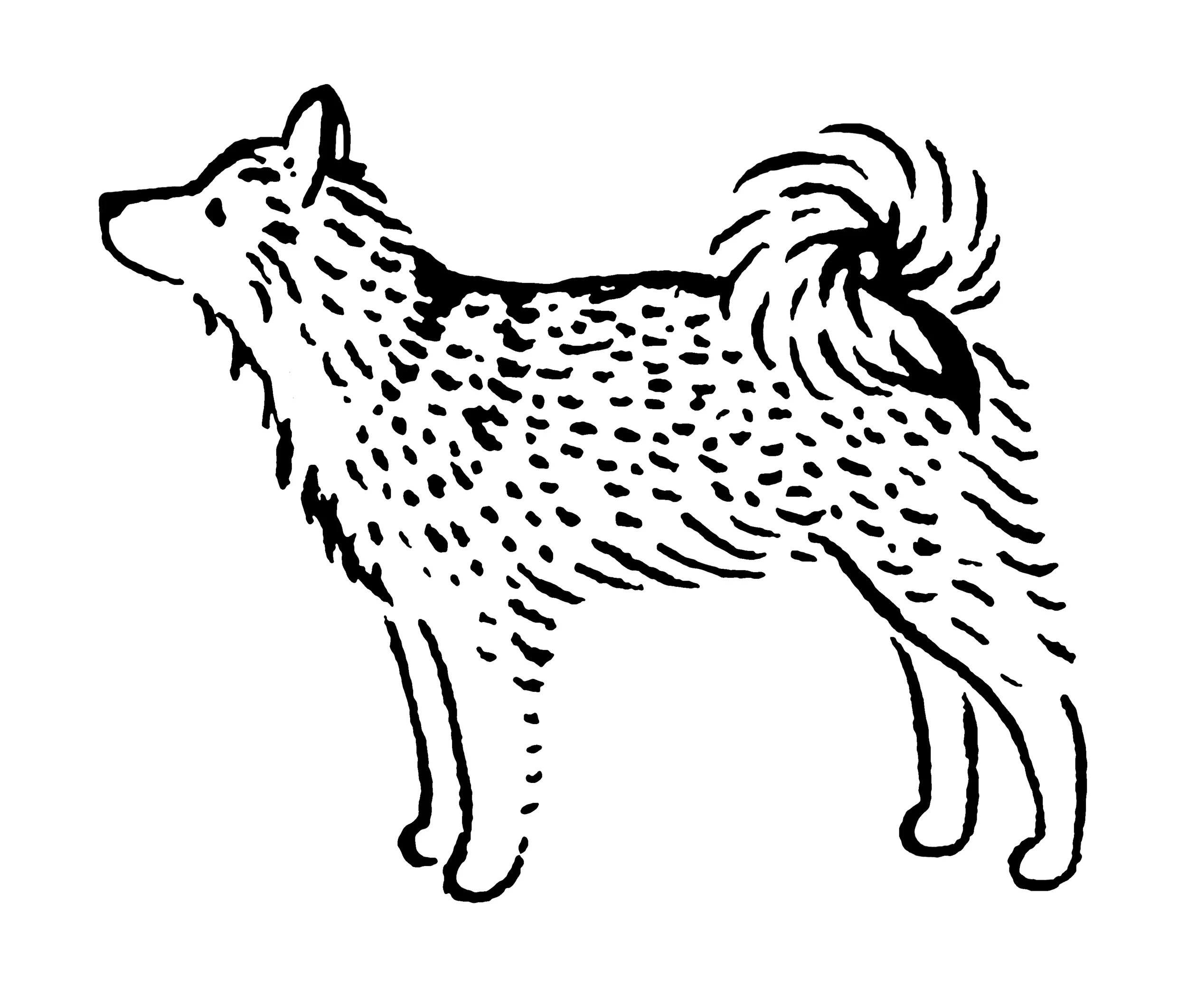 alaskanmalamute_e.jpg