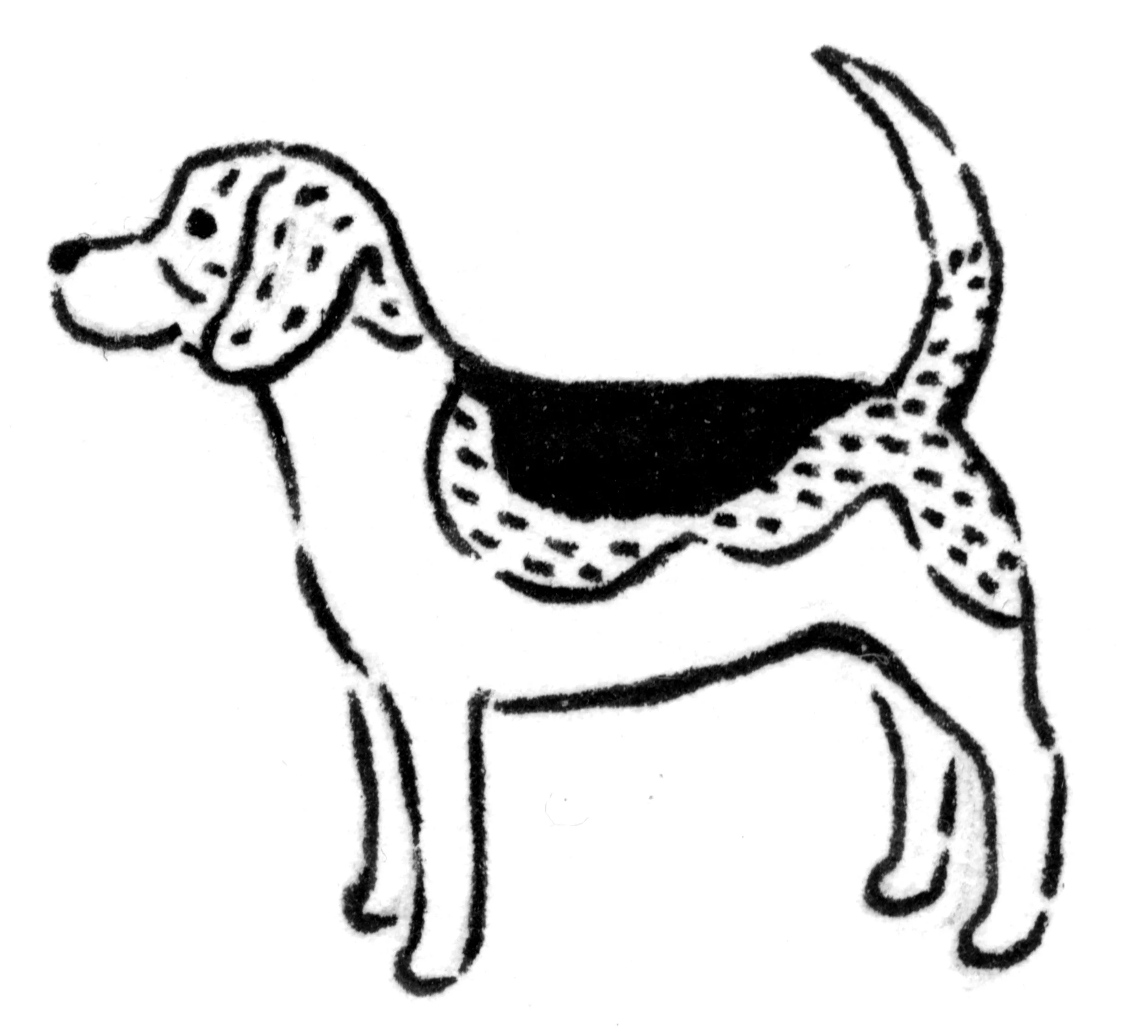 beagle_e.jpg
