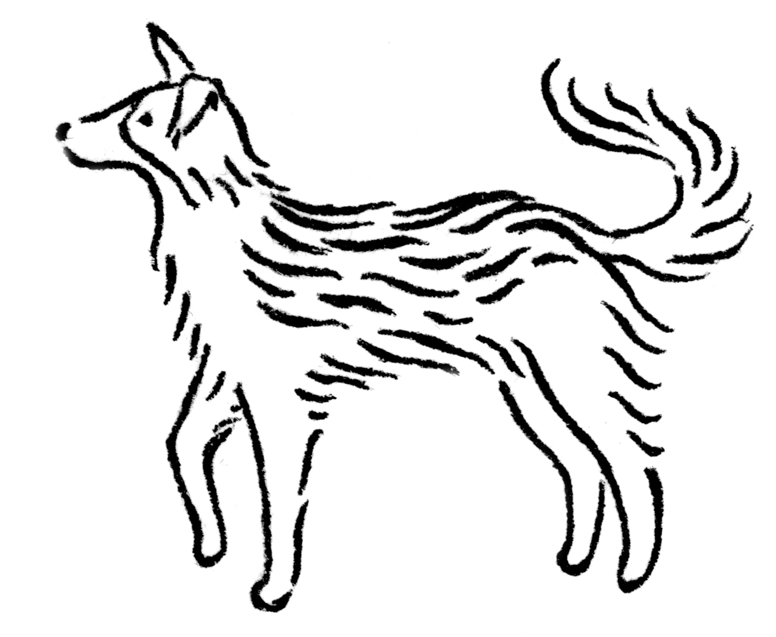 bordercollie_e.jpg
