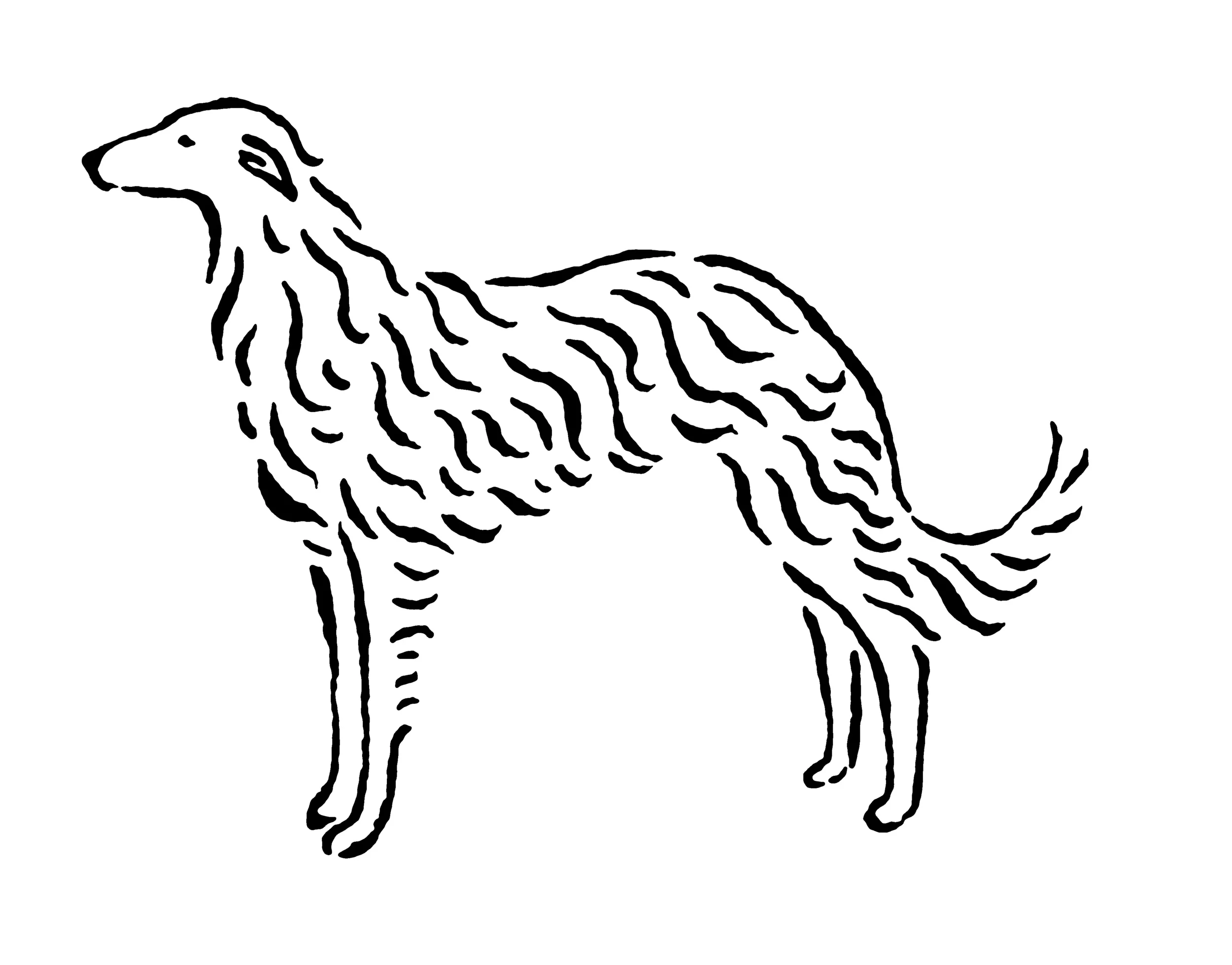 borzoi_e.jpg