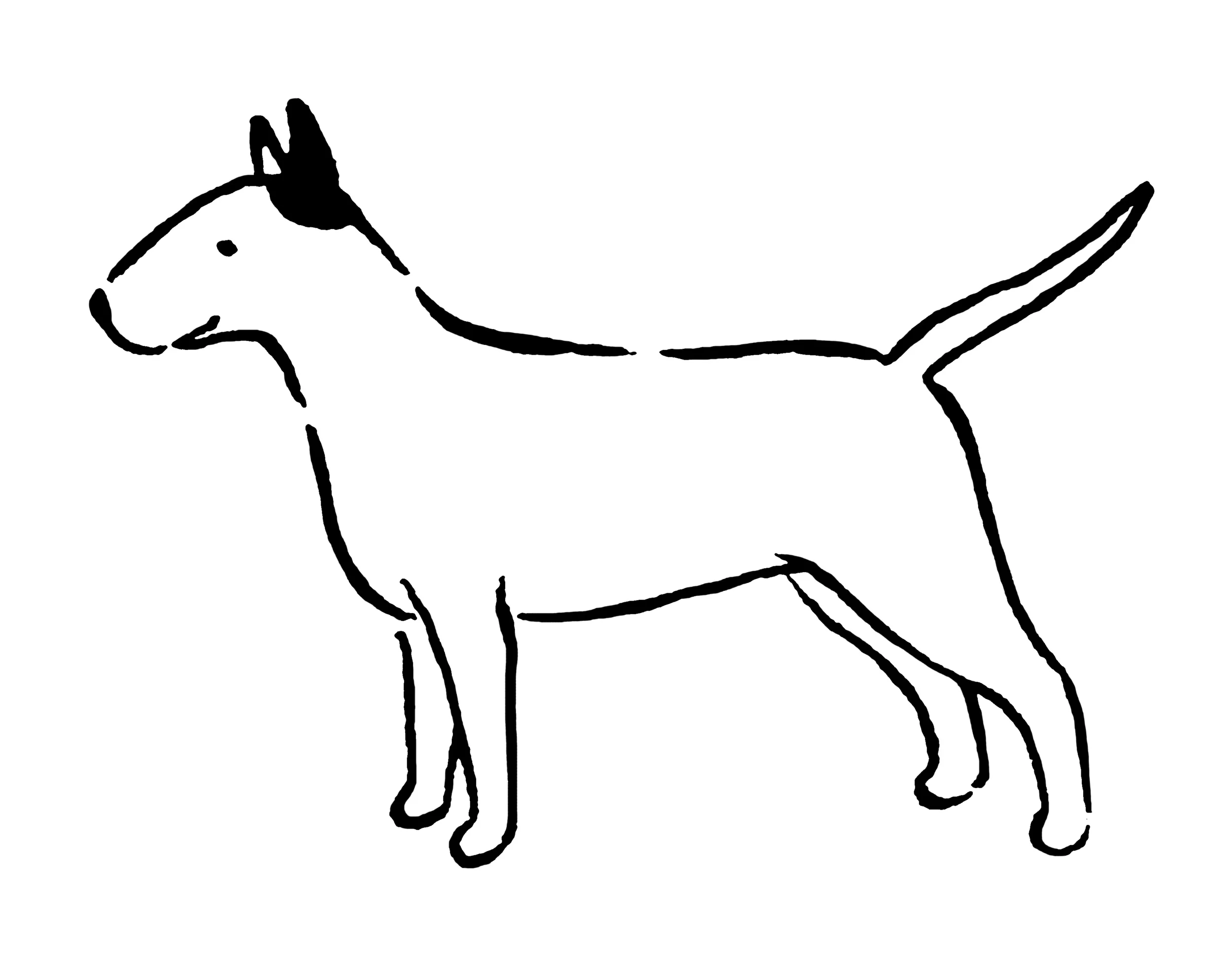bullterrier_e.jpg