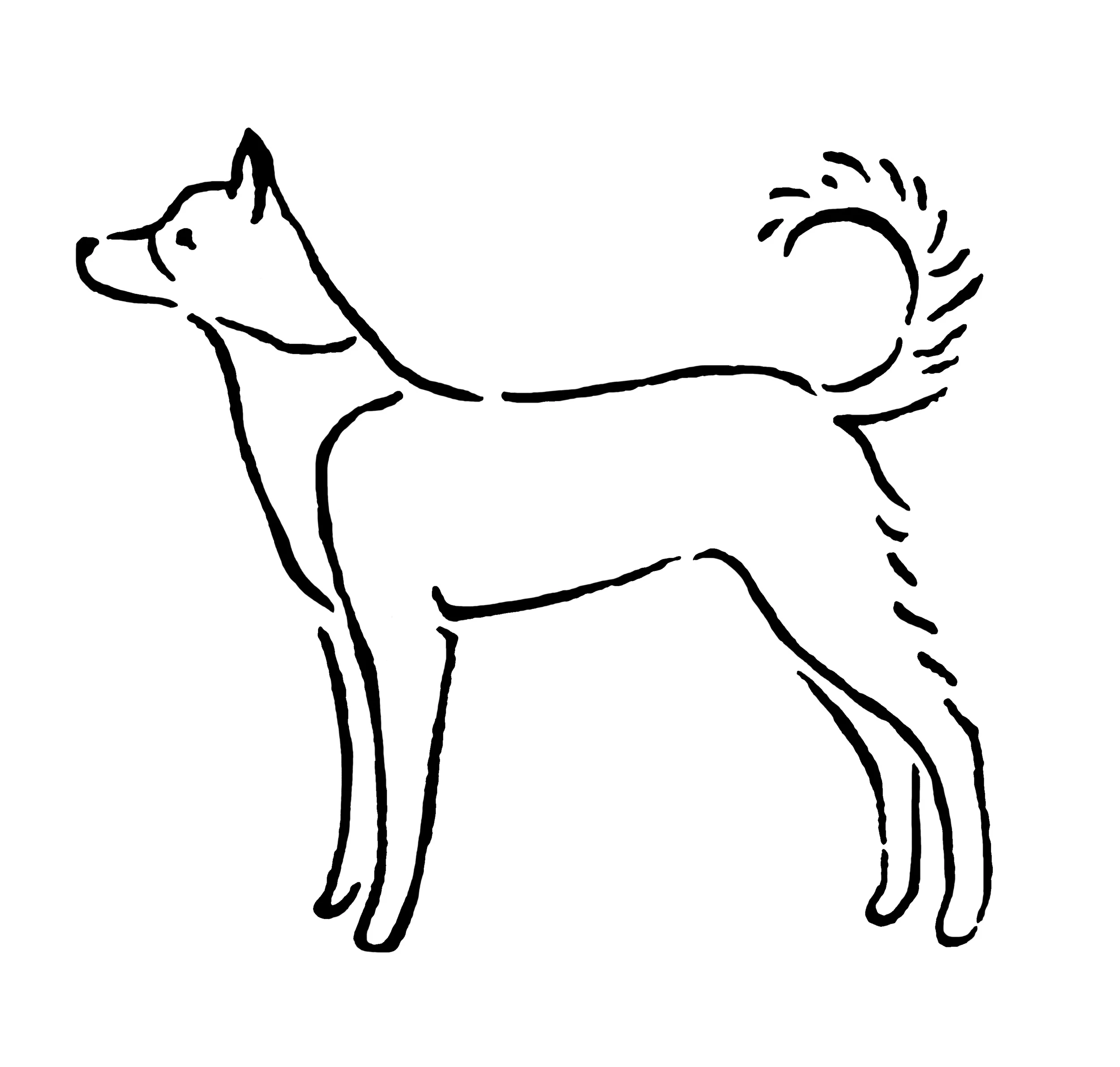 canaandog_e.jpg