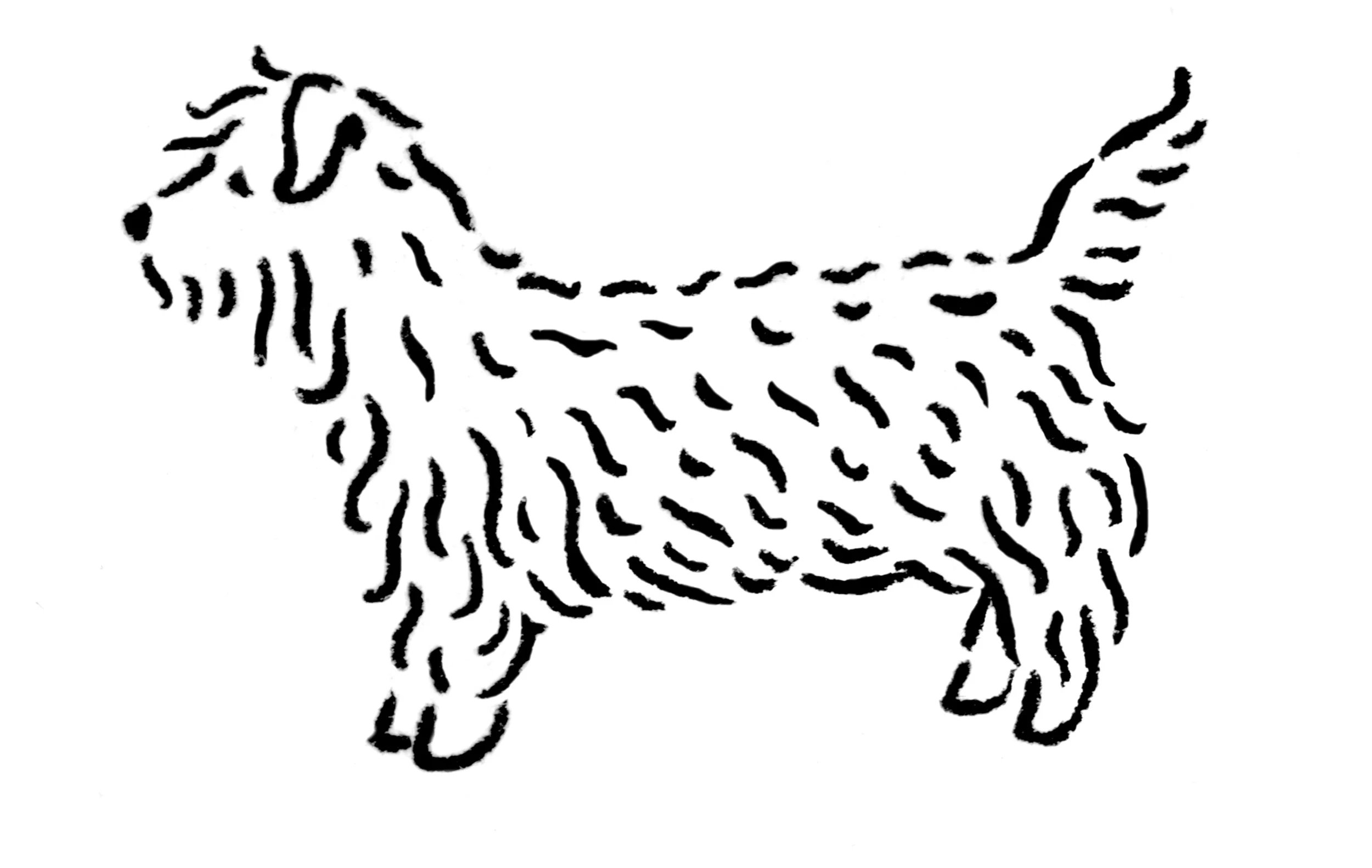 glenofimaal_e.jpg
