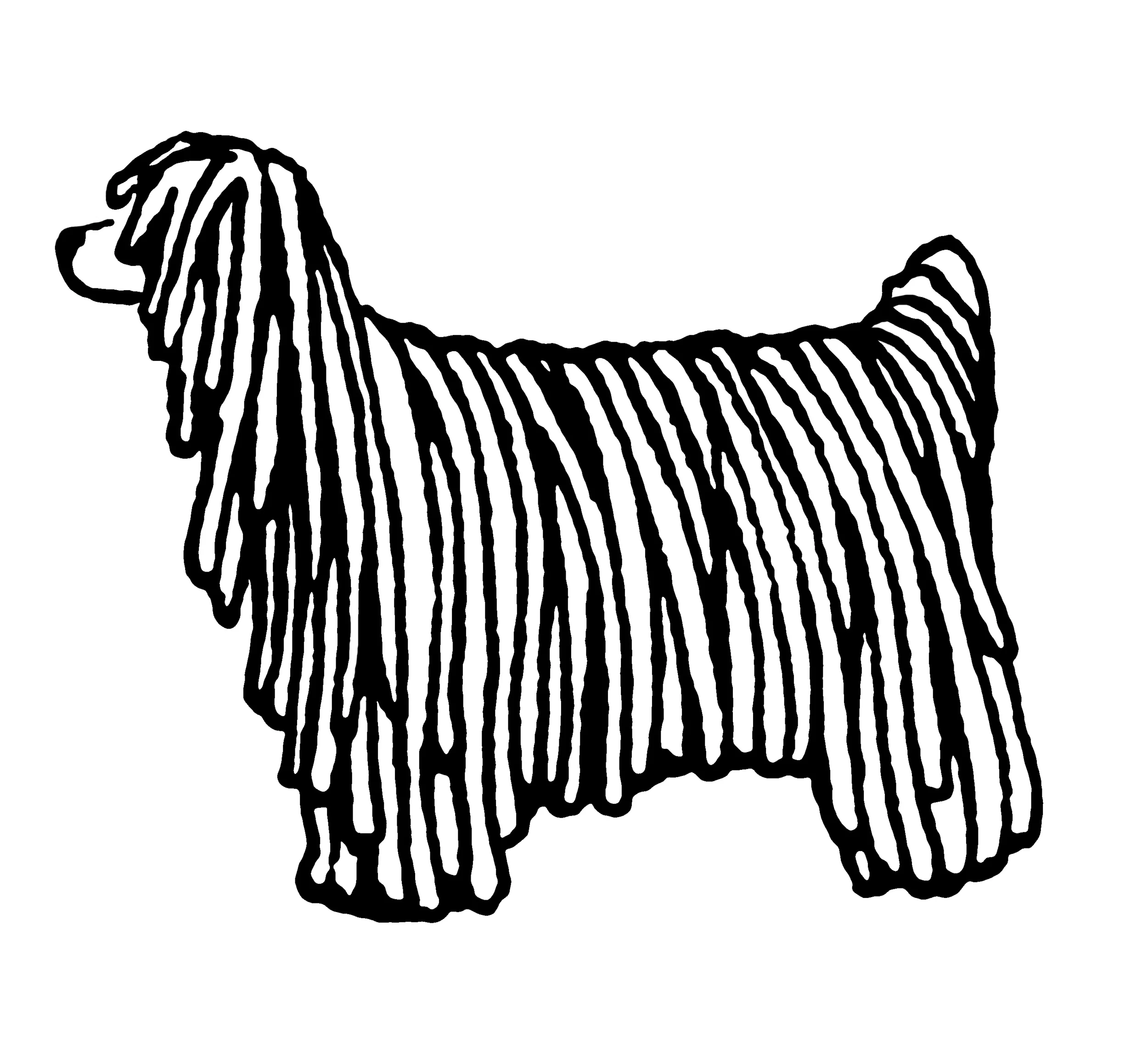 komondor_e.jpg