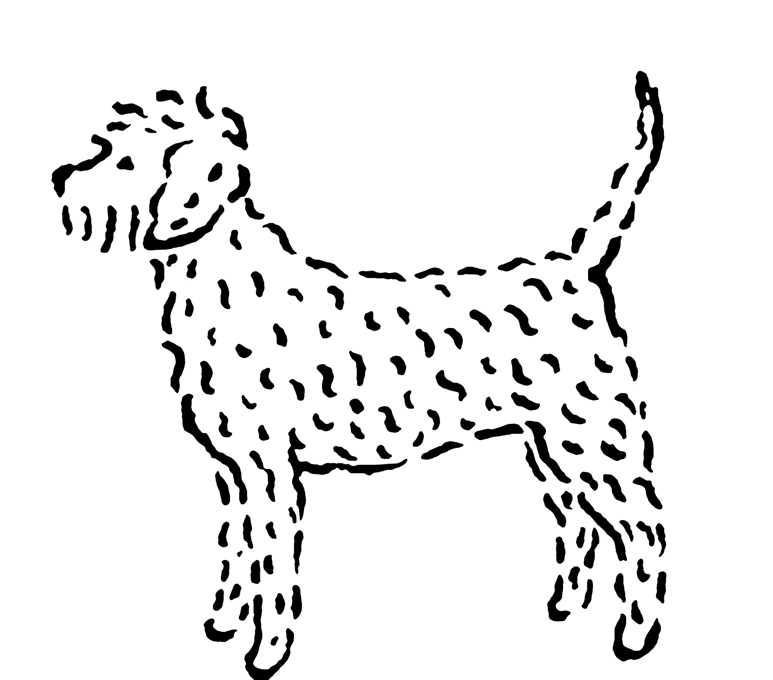 lagottoromagnolo_e.jpg