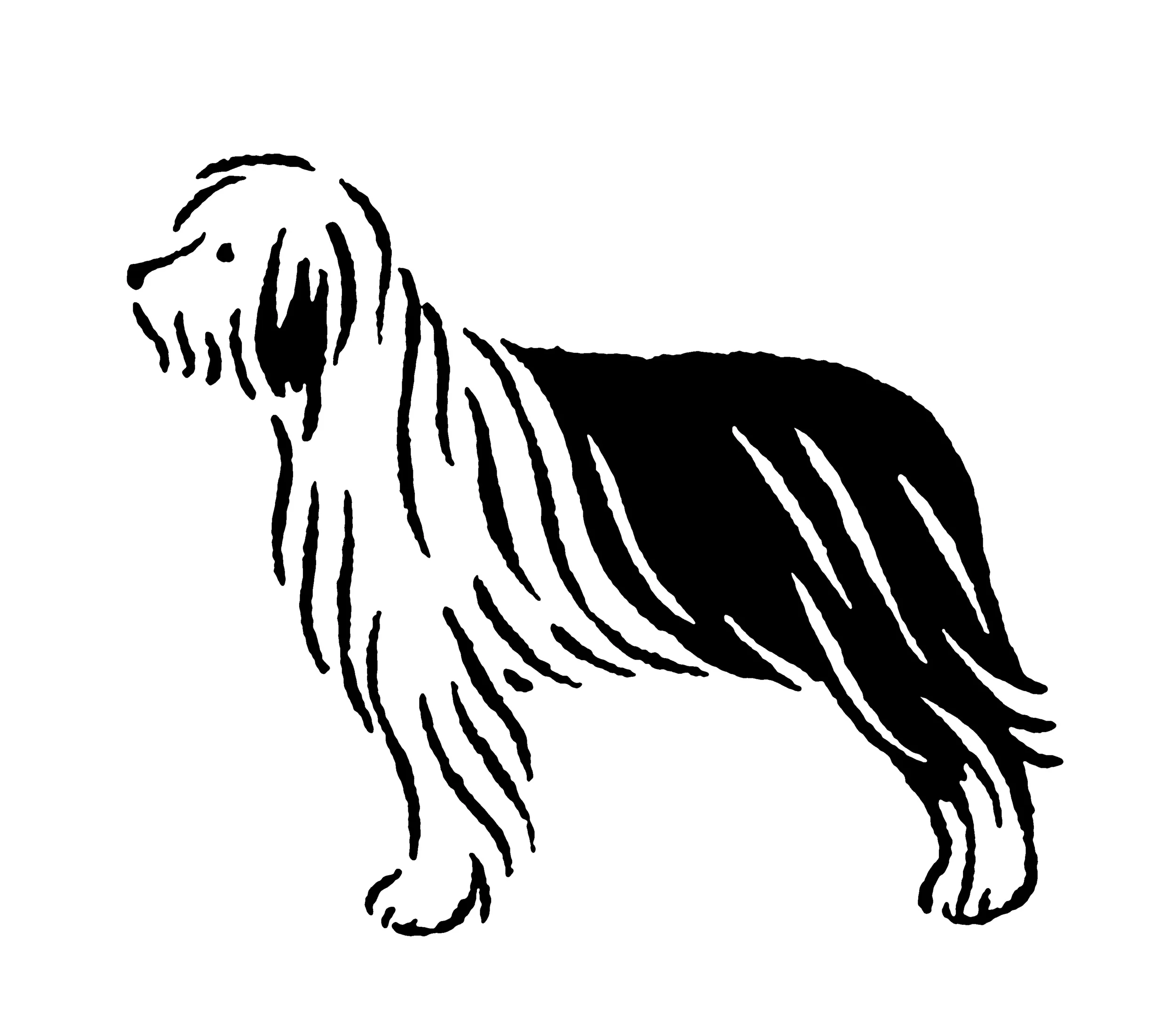 oldenglishsheepdog_e.jpg