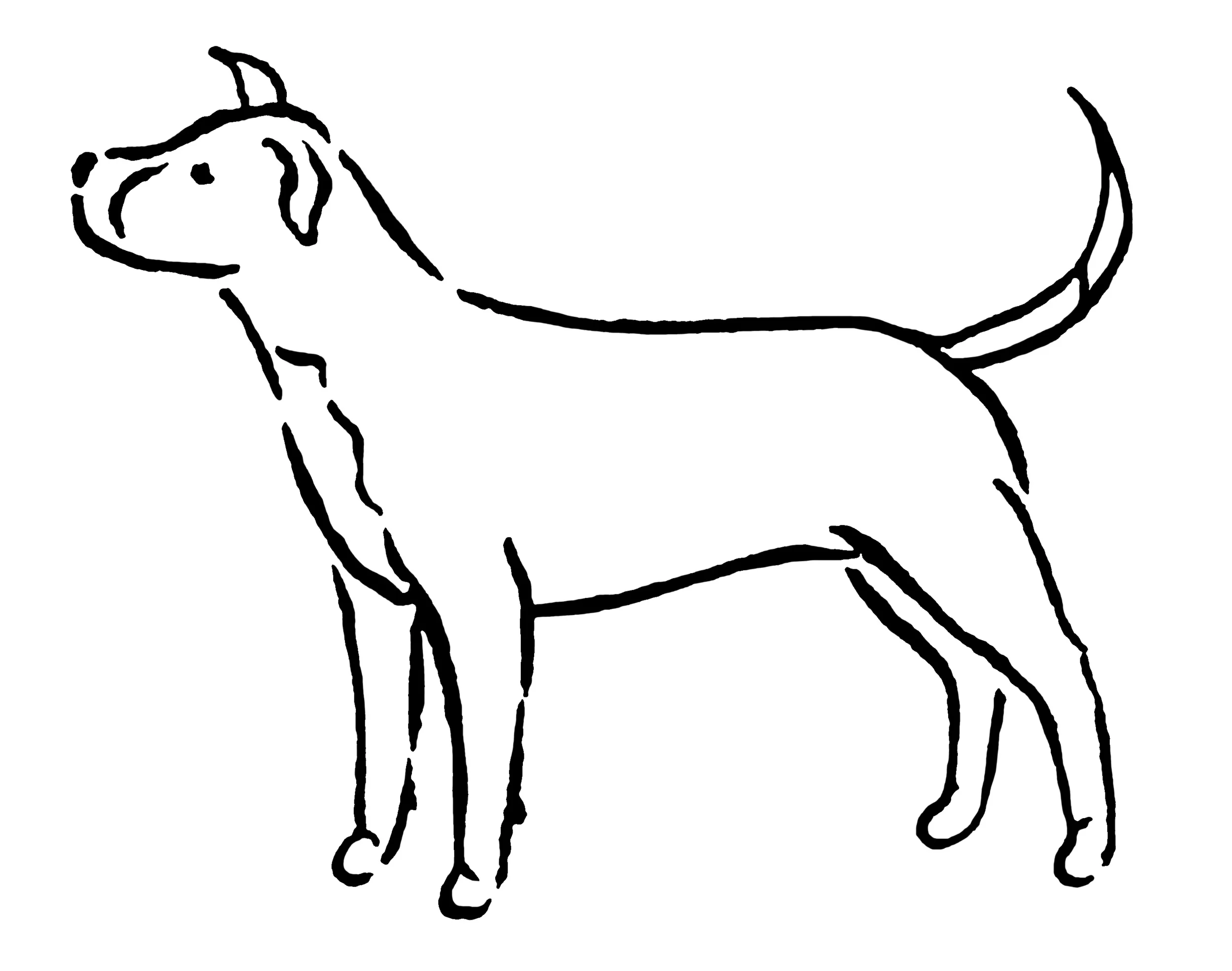 pitbul_e.jpg