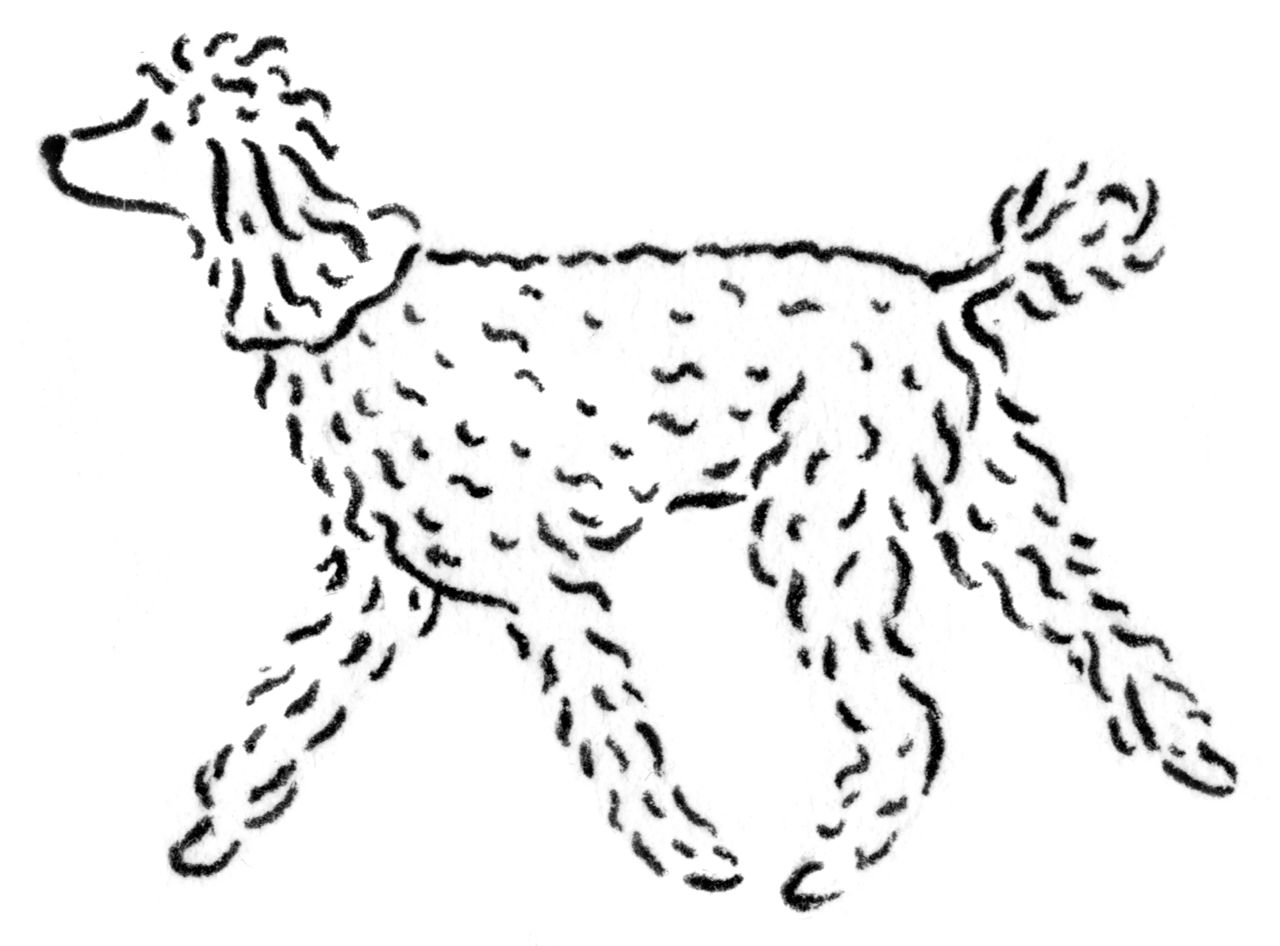 poodle_e.jpg