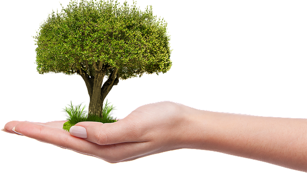 Featured article for LIFTUPYOURDAY.COM on June 21, 2016