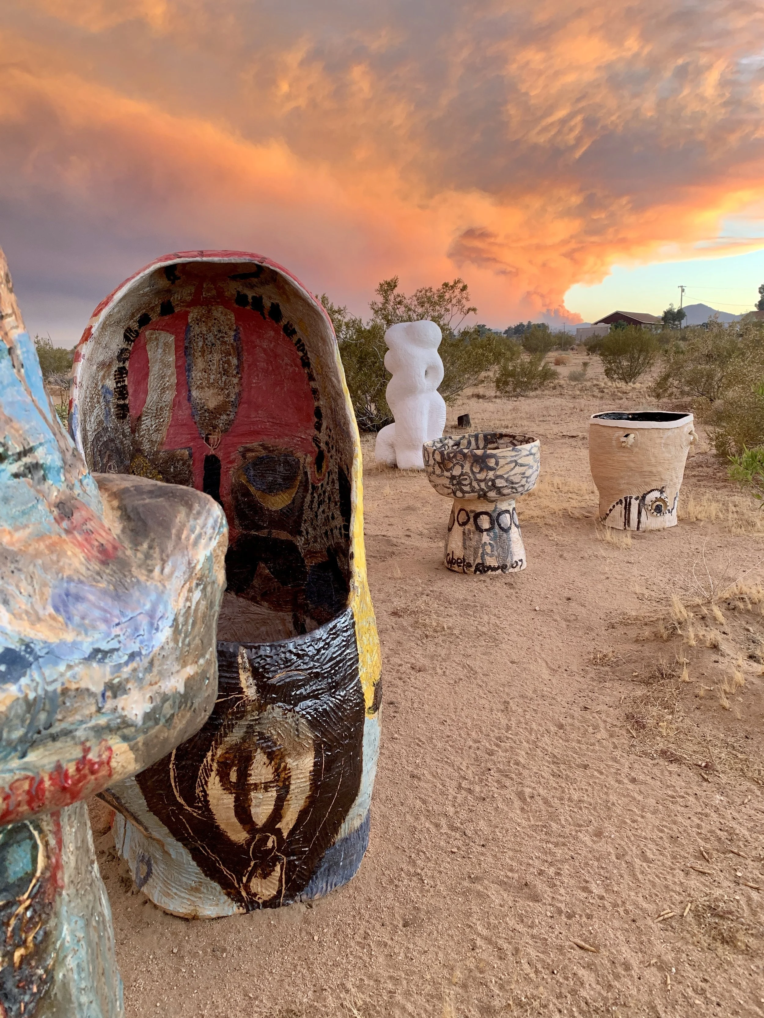 MyDesertGarden copy.jpeg