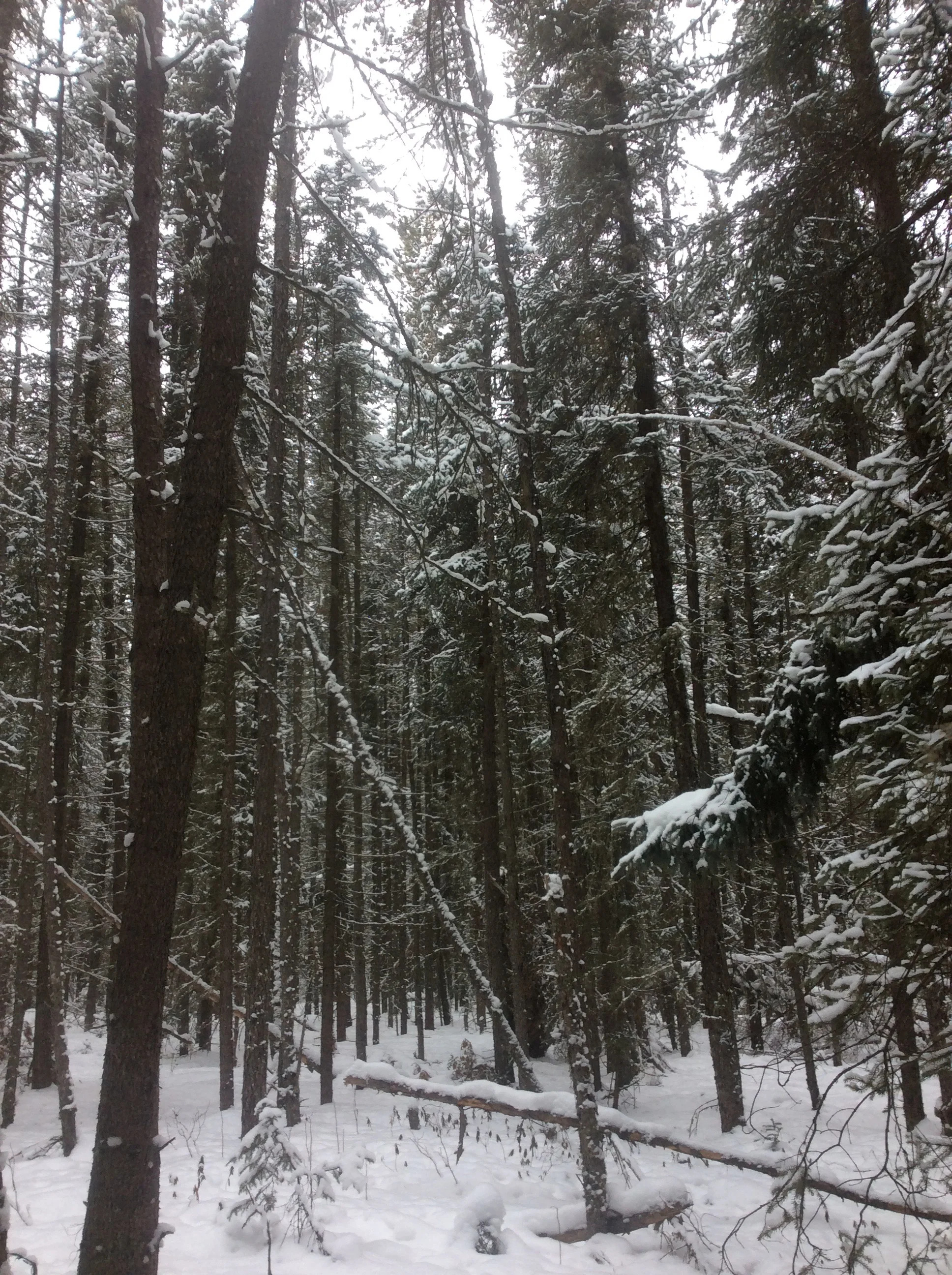 2016-02-04 12.40.52.jpg