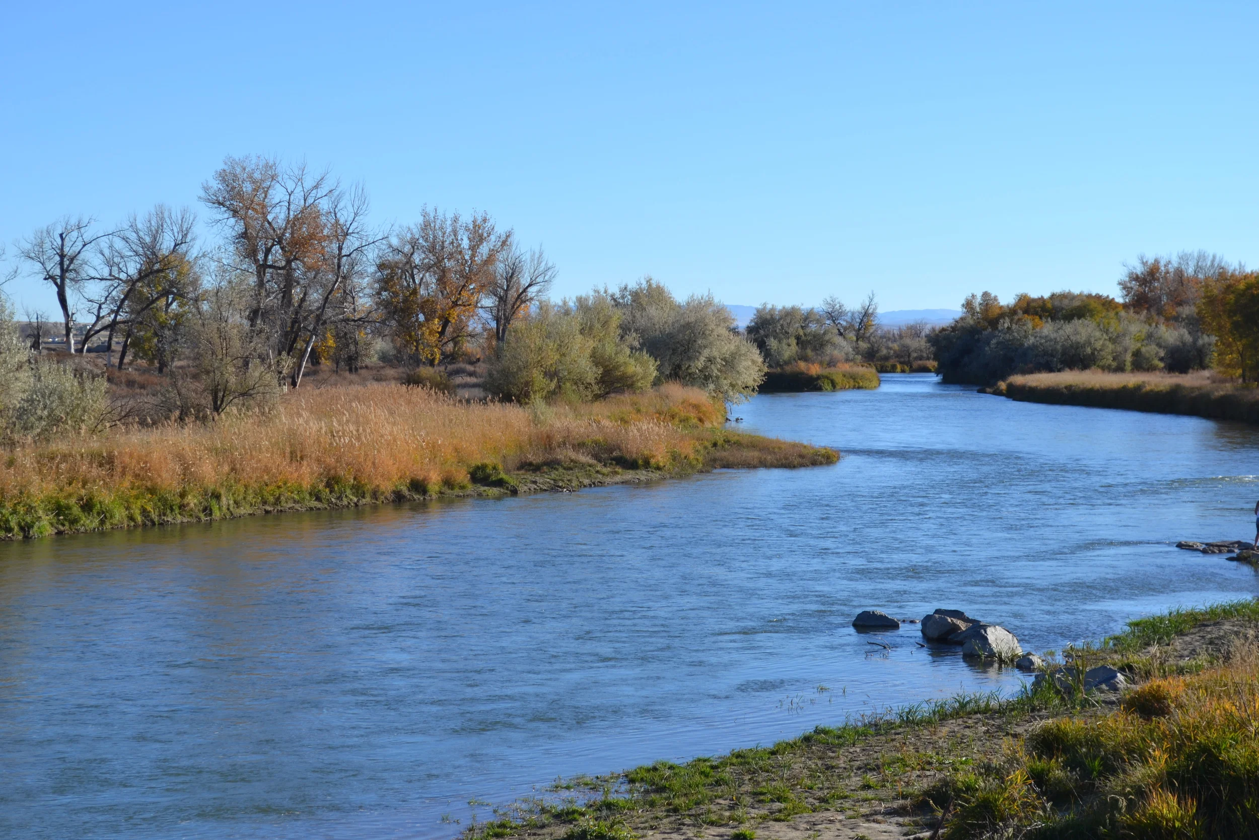 DSC_0125.JPG