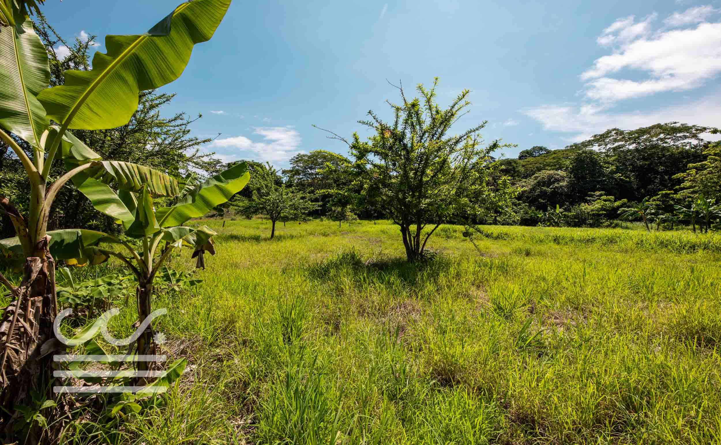 Esperanza-Jungle-Lot-Wanderlust-Realty-Real-Estate-Nosara-Costa-Rica-1.jpg