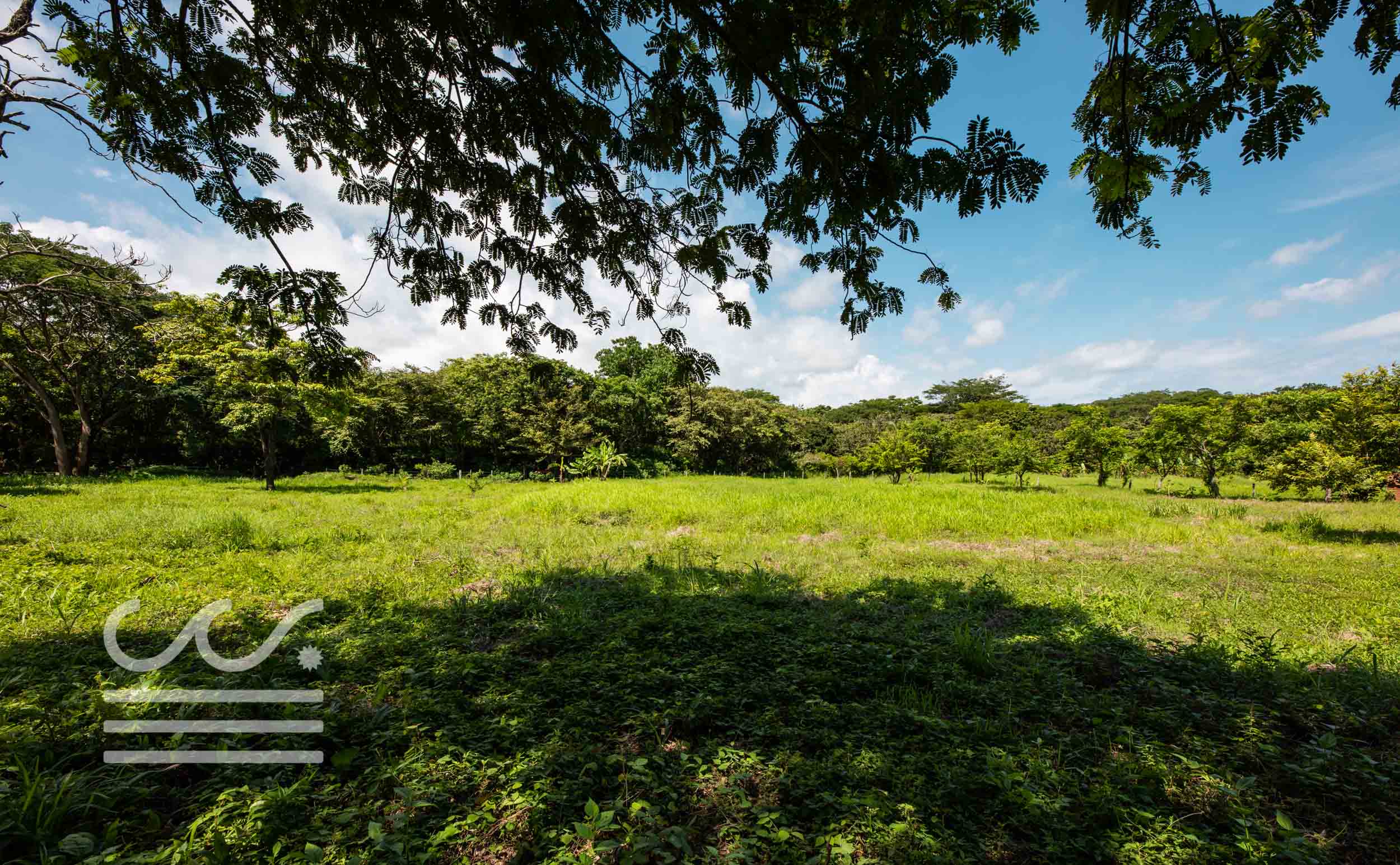 Esperanza-Jungle-Lot-Wanderlust-Realty-Real-Estate-Nosara-Costa-Rica-4.jpg