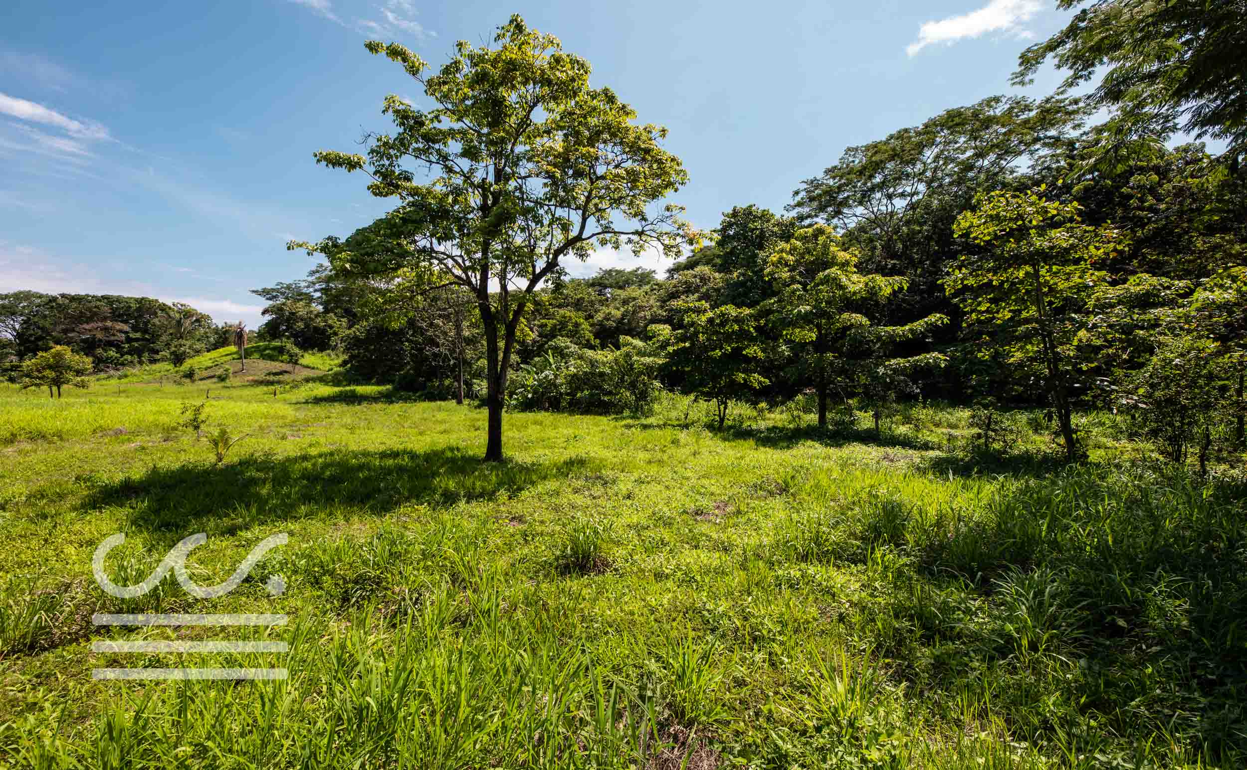 Esperanza-Jungle-Lot-Wanderlust-Realty-Real-Estate-Nosara-Costa-Rica-6.jpg