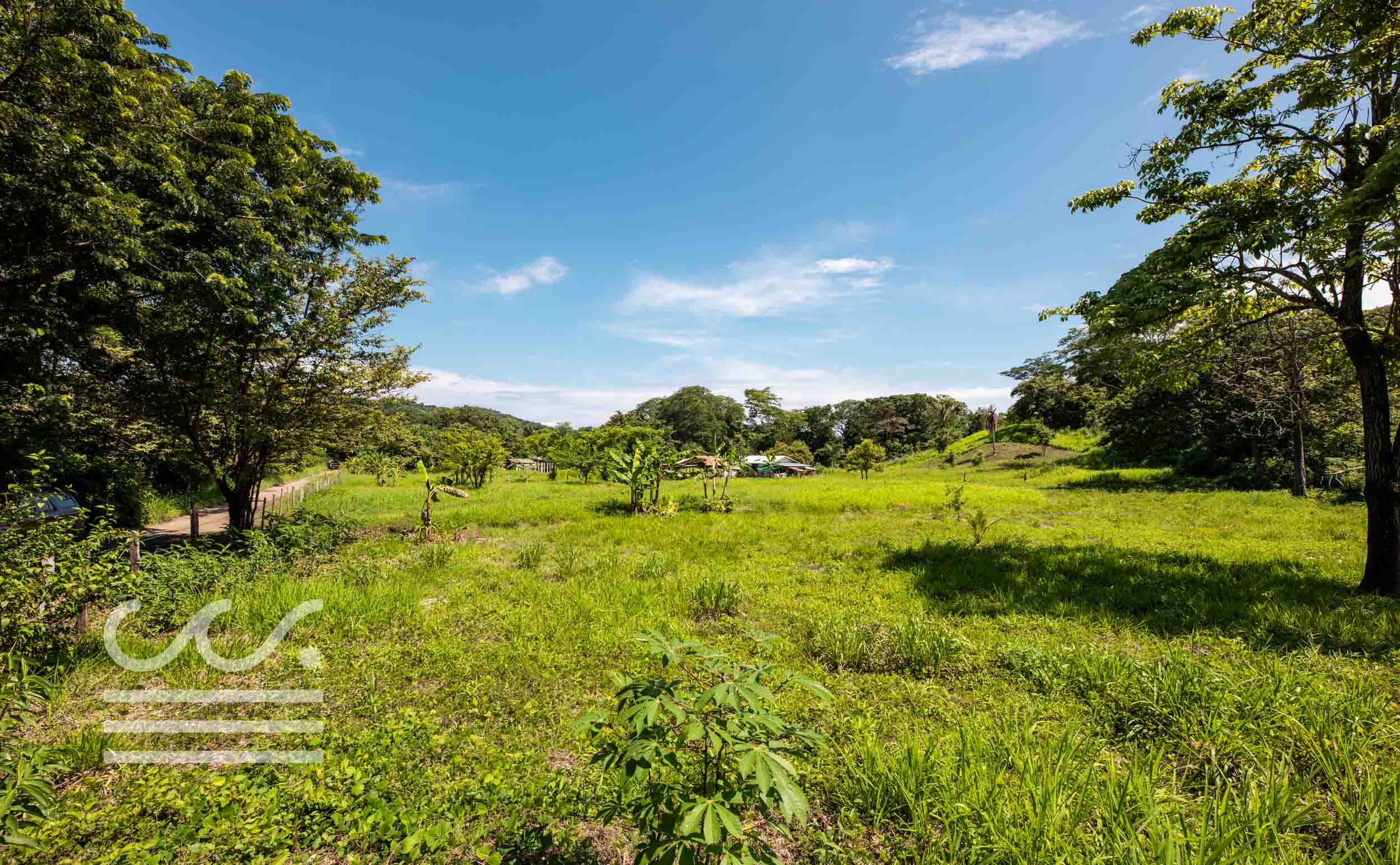 Esperanza-Jungle-Lot-Wanderlust-Realty-Real-Estate-Nosara-Costa-Rica-7.jpg