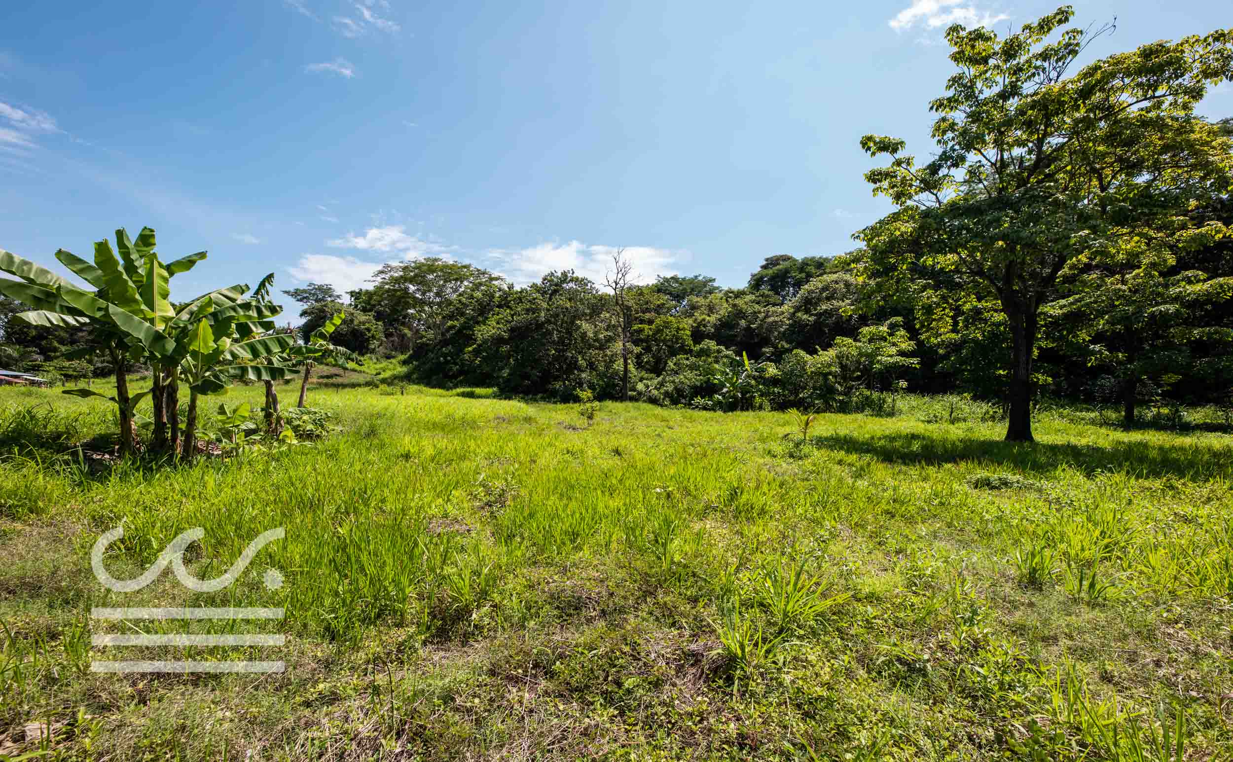 Esperanza-Jungle-Lot-Wanderlust-Realty-Real-Estate-Nosara-Costa-Rica-8.jpg