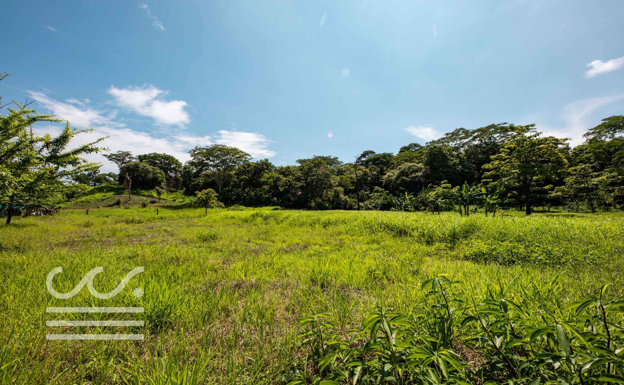 Esperanza-Jungle-Lot-Wanderlust-Realty-Real-Estate-Nosara-Costa-Rica-9.jpg