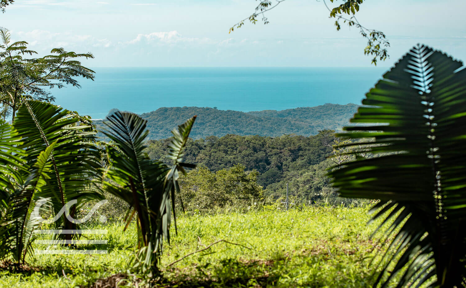Bosque-Verde-45B-Wanderlust-Realty-Real-Estate-Rentals-Nosara-Costa-Rica-6.jpg