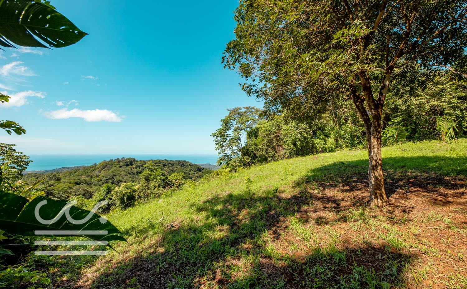 Bosque-Verde-45B-Wanderlust-Realty-Real-Estate-Rentals-Nosara-Costa-Rica-9.jpg