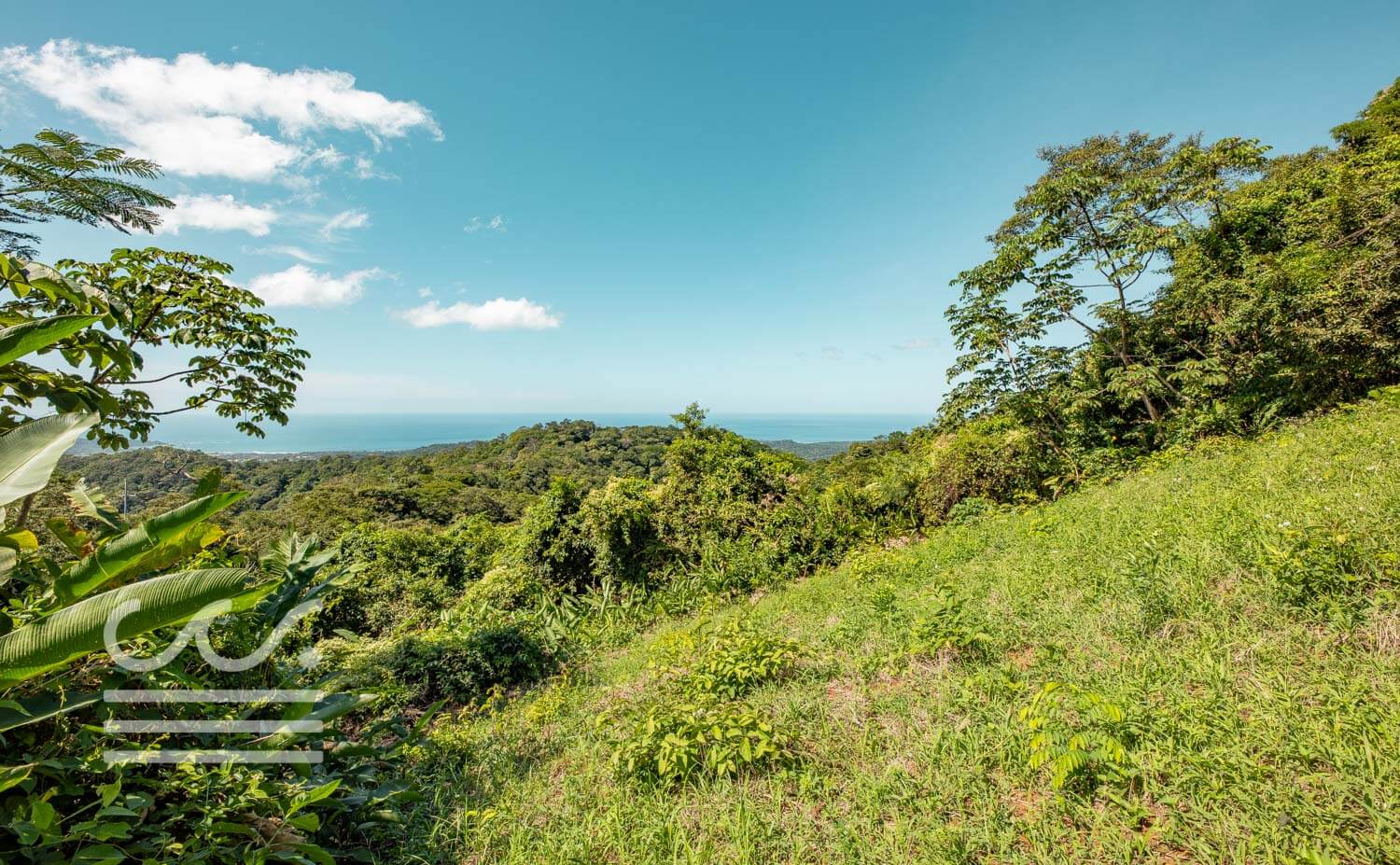 Bosque-Verde-45B-Wanderlust-Realty-Real-Estate-Rentals-Nosara-Costa-Rica-10.jpg