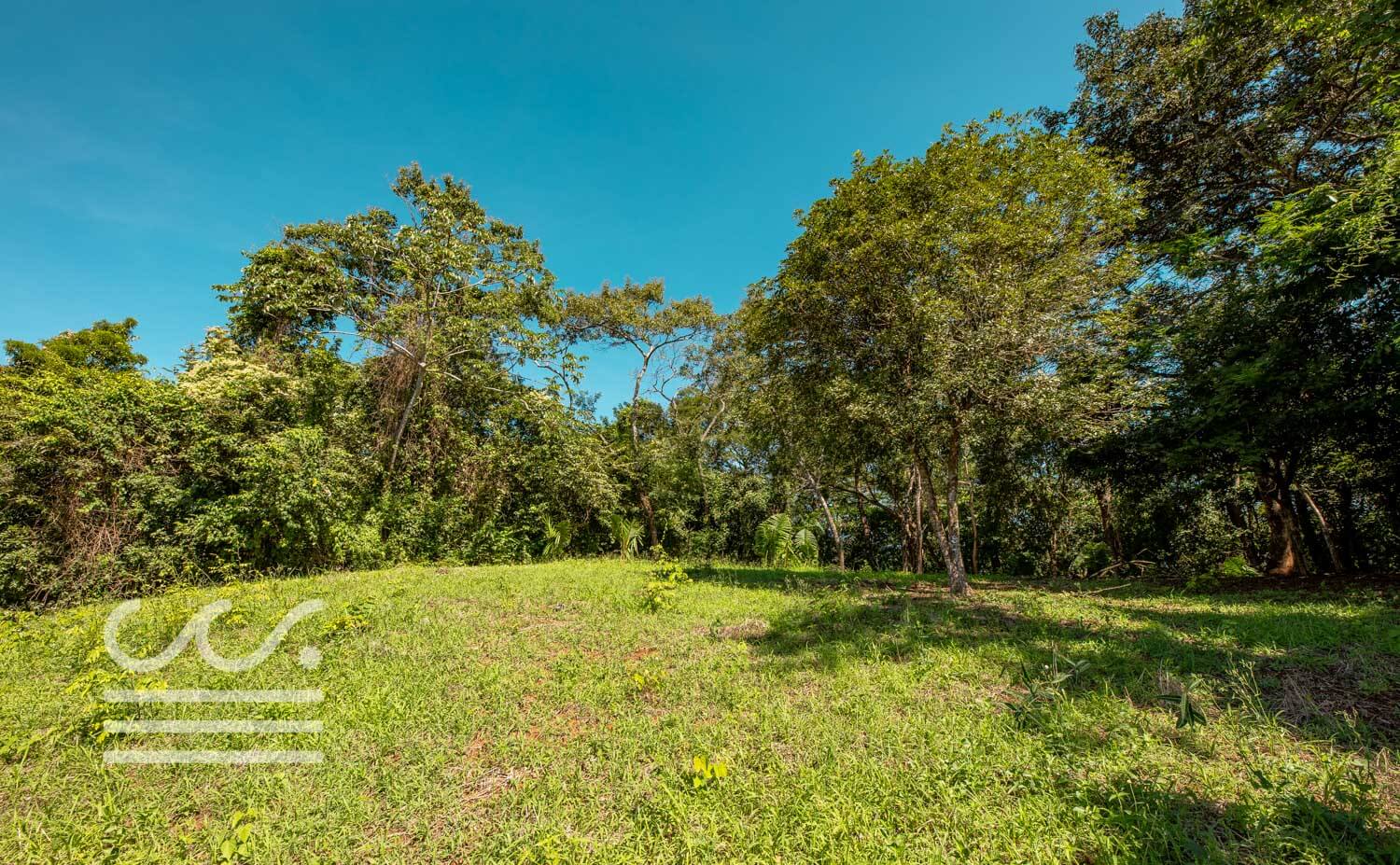 Bosque-Verde-45B-Wanderlust-Realty-Real-Estate-Rentals-Nosara-Costa-Rica-12.jpg