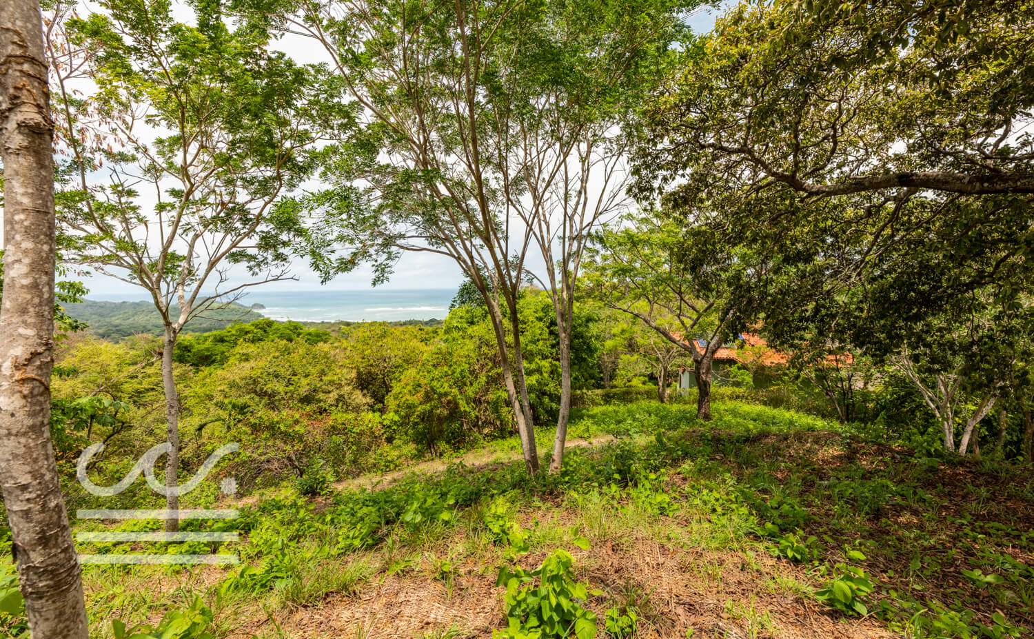 Wanderlust-Realty-Real-Estate-Rentals-Nosara-Costa-Rica-3.jpg