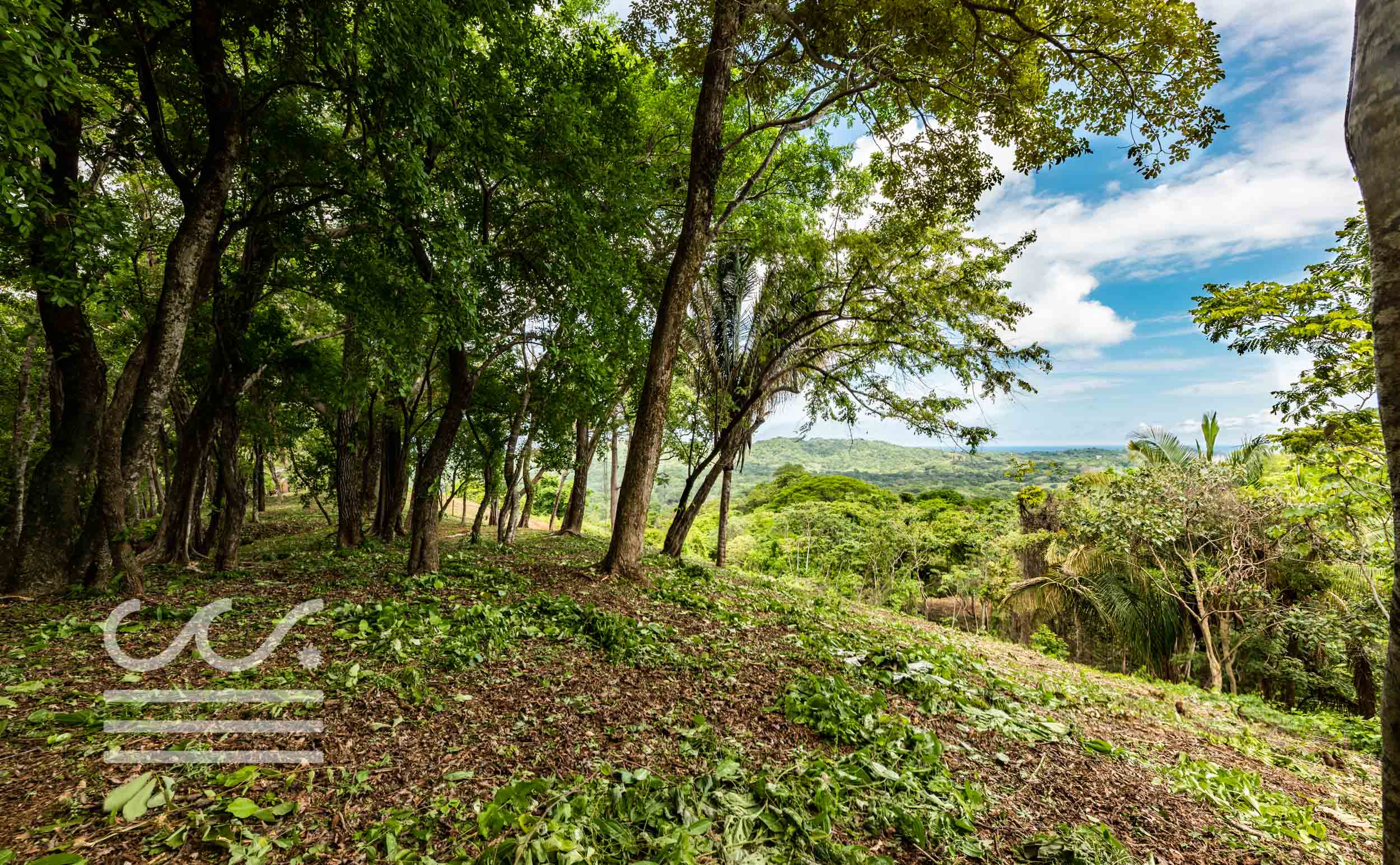 EE-103-Lot-Wanderlust-Realty-Real-Estate-Nosara-Costa-Rica-9.jpg