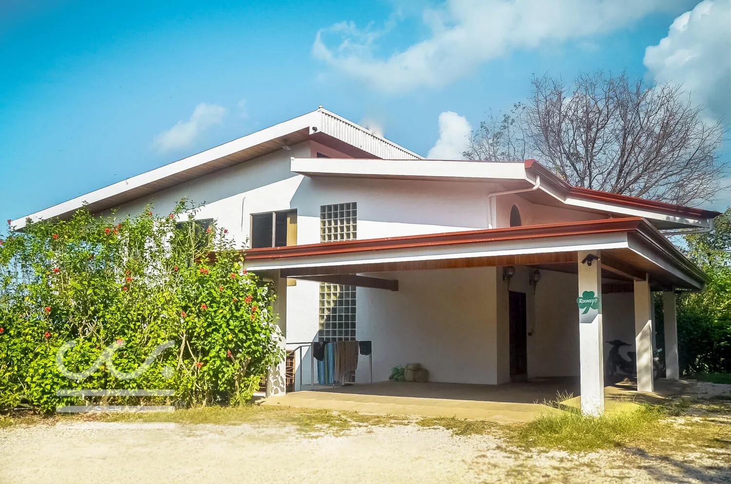 Casa_Rooney_Web-001.jpg